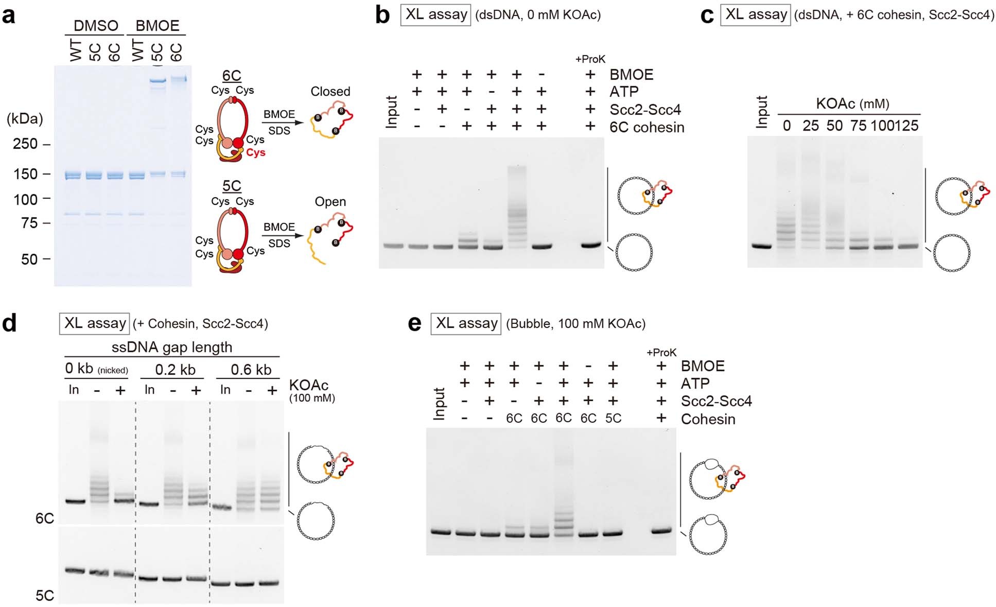 Extended Data Fig. 10