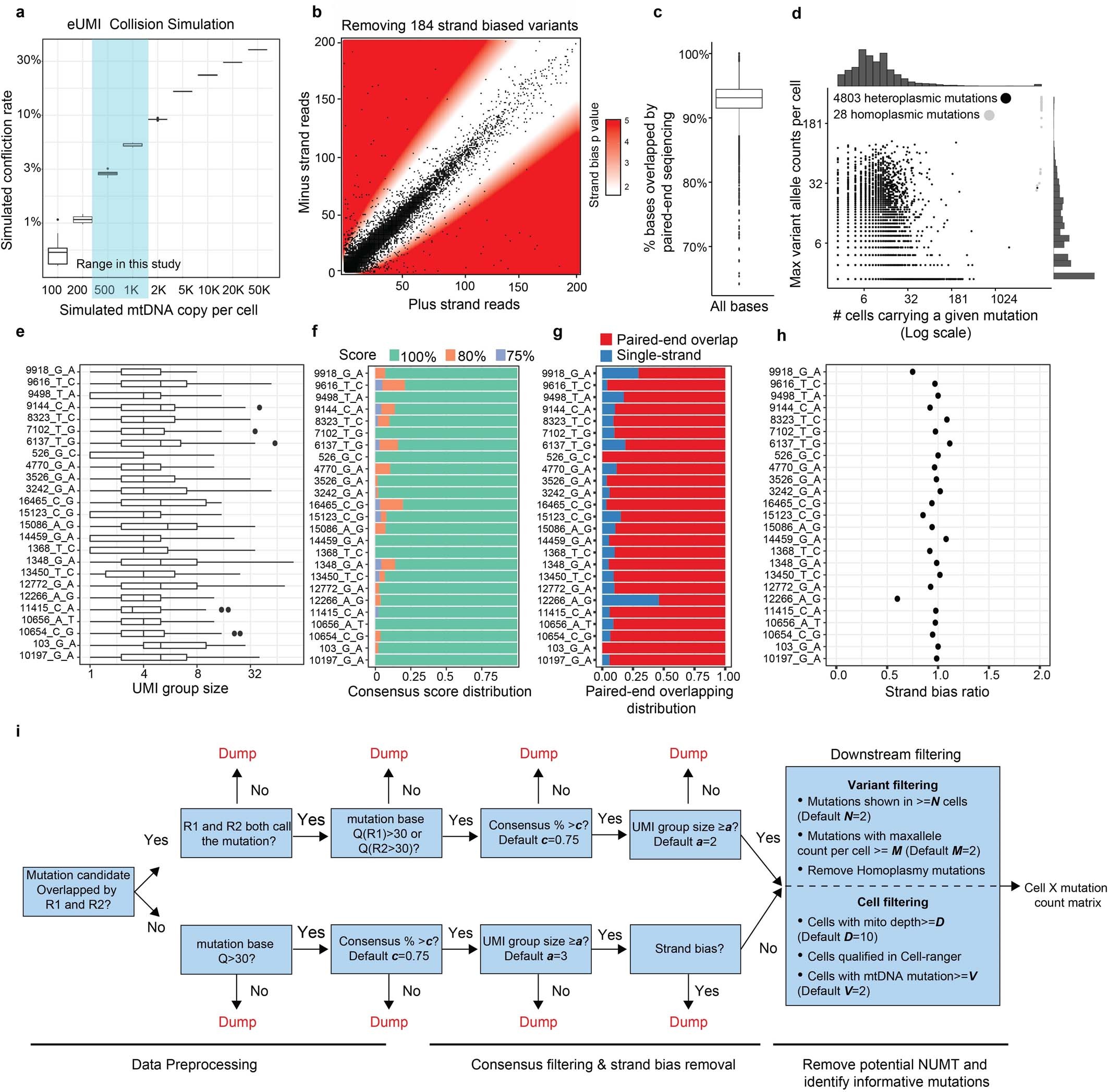 Extended Data Fig. 1: Improved mtDNA coverage and mutation detection with ReDeeM pipeline.