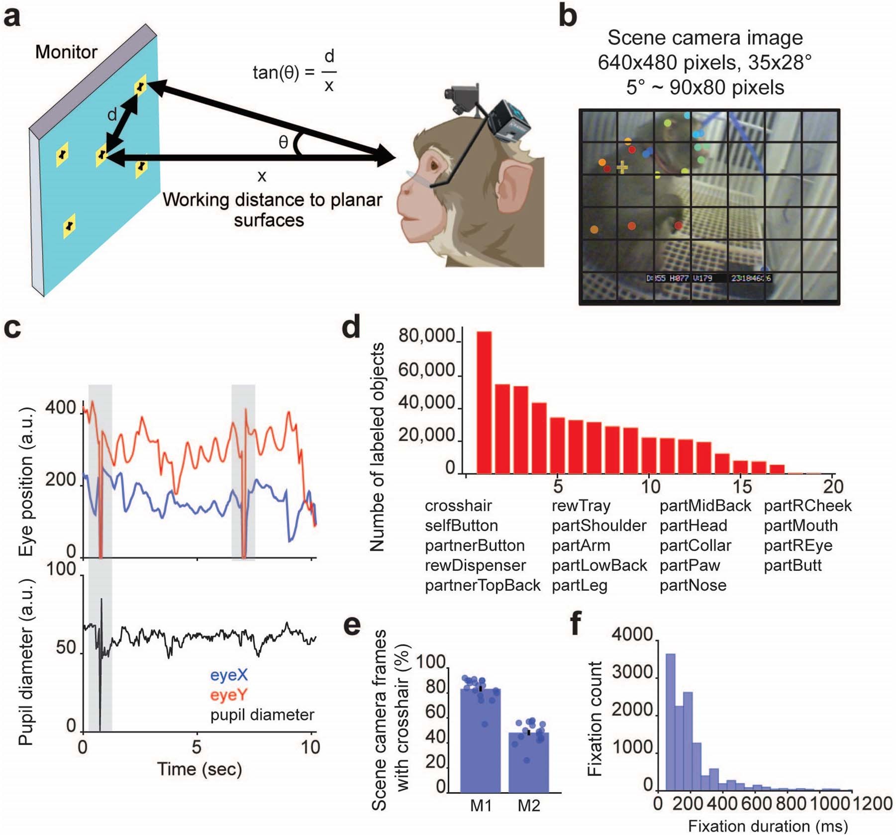 Extended Data Fig. 1: Wireless eye tracking methods and fixation statistics.