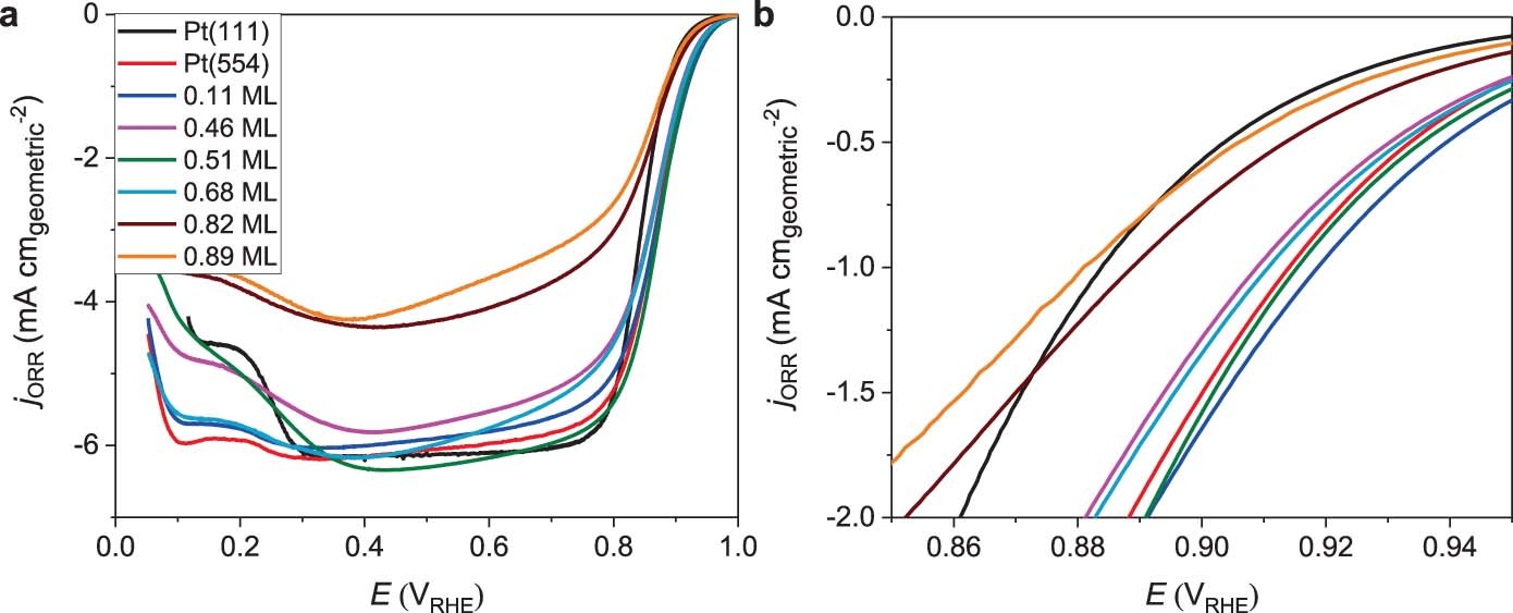 Extended Data Fig. 10
