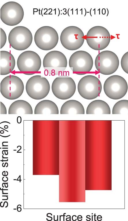 Extended Data Fig. 2