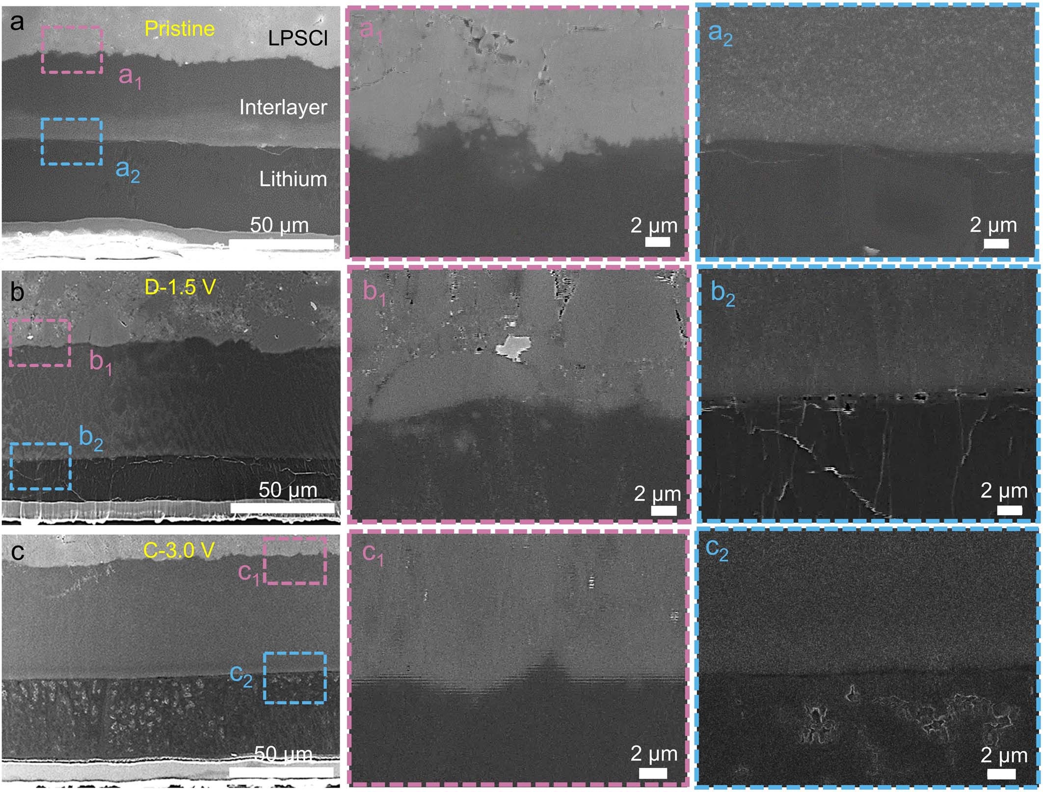 Extended Data Fig. 7: Morphological study of the Li-SP-LPSCl interface during cycling in full cells.