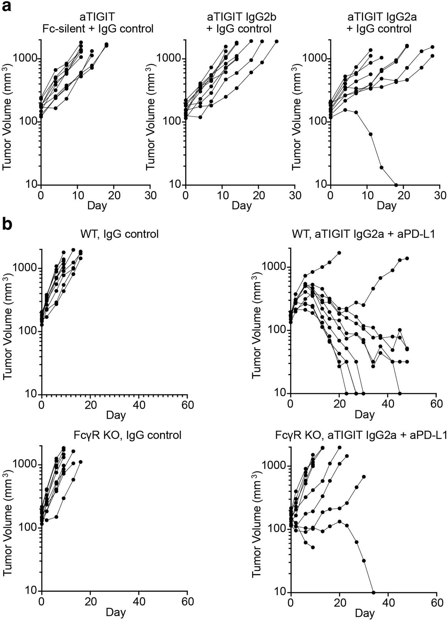 Extended Data Fig. 4: Efficient tumour rejection by anti-PD-L1 and anti-TIGIT mAbs treatment depends on functional Fc-FcɣR interaction axis.