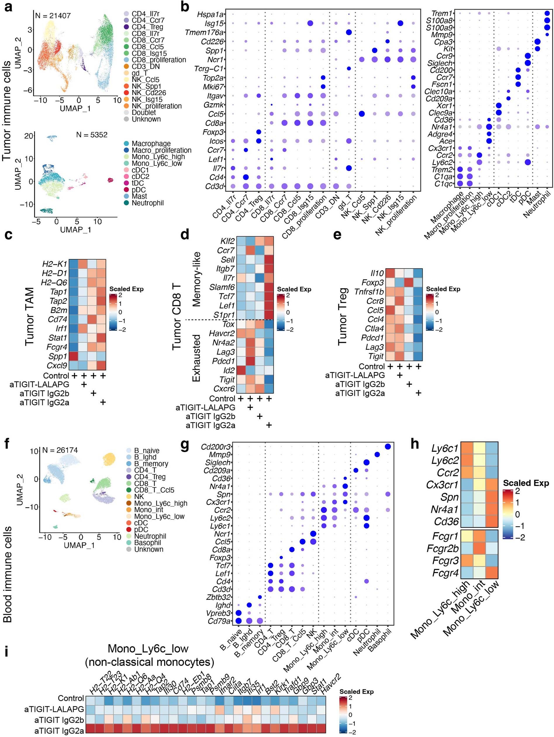 Extended Data Fig. 5: anti-TIGIT treatment modulation of tumour infiltrating immune cells and peripheral blood monocytes depends on the Fc region.