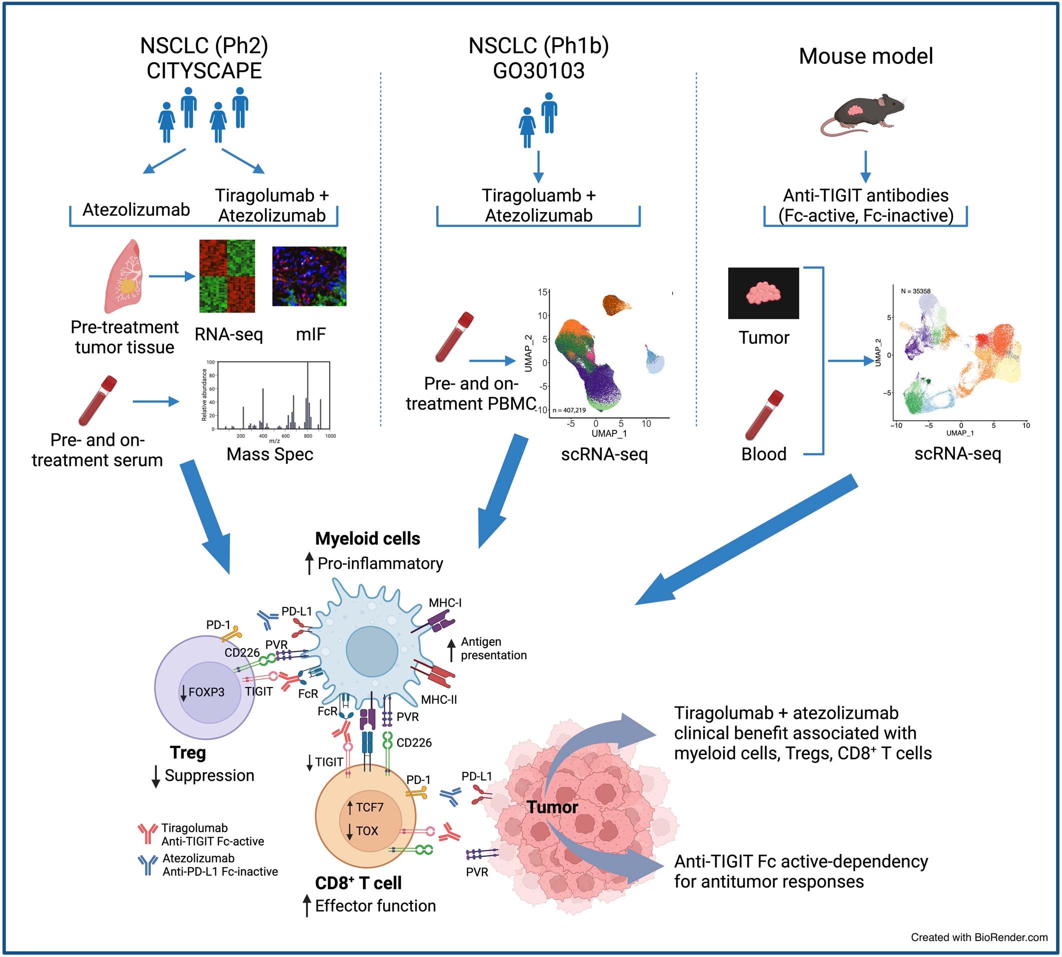 Extended Data Fig. 10: Graphic illustration showing the design of the current study.