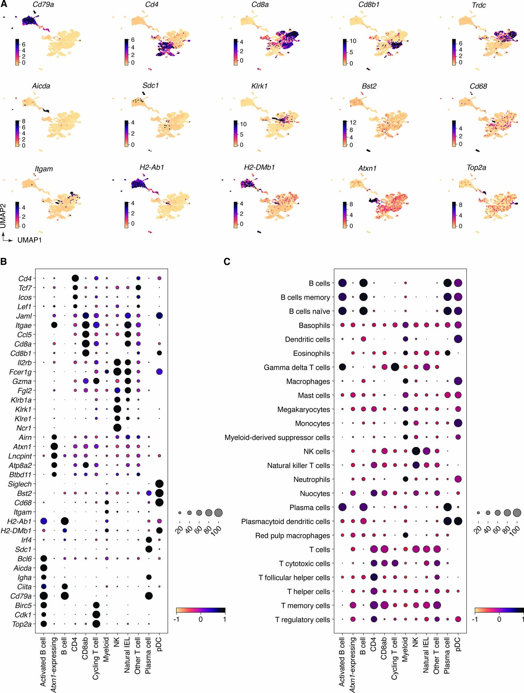 Extended Data Fig. 7: Expression of marker genes and gene signatures in the annotated scRNA-seq data.