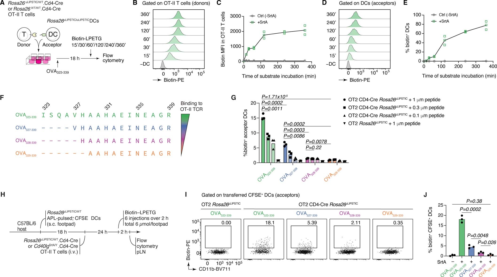 Extended Data Fig. 2: Kinetics and sensitivity of the uLIPSTIC reaction.