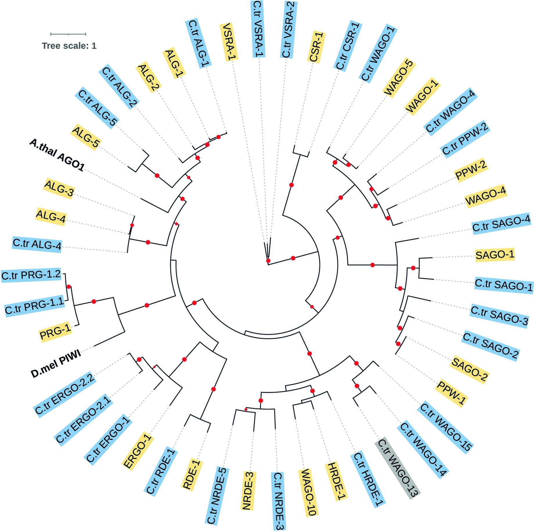 Extended Data Fig. 2