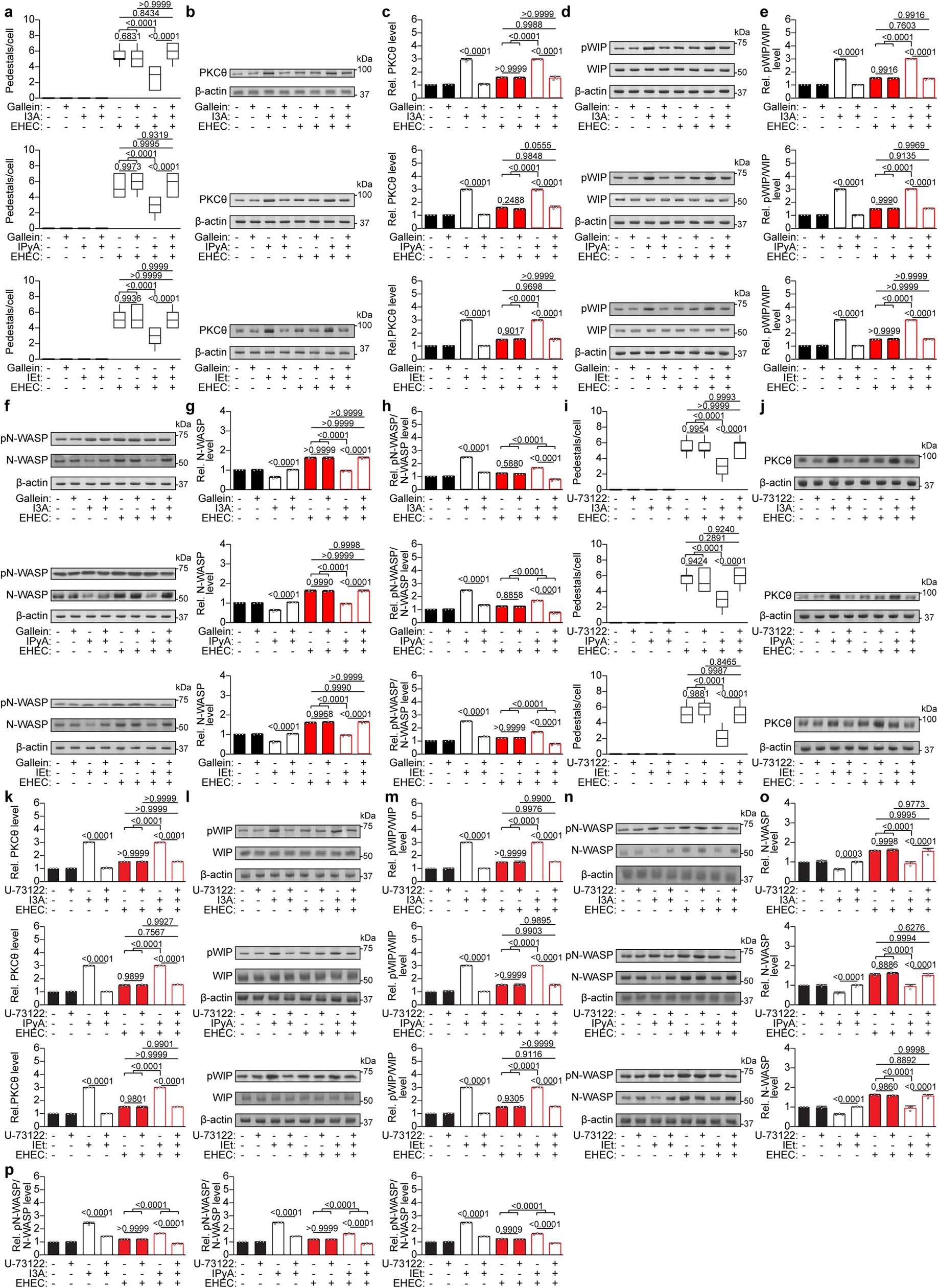 Extended Data Fig. 9