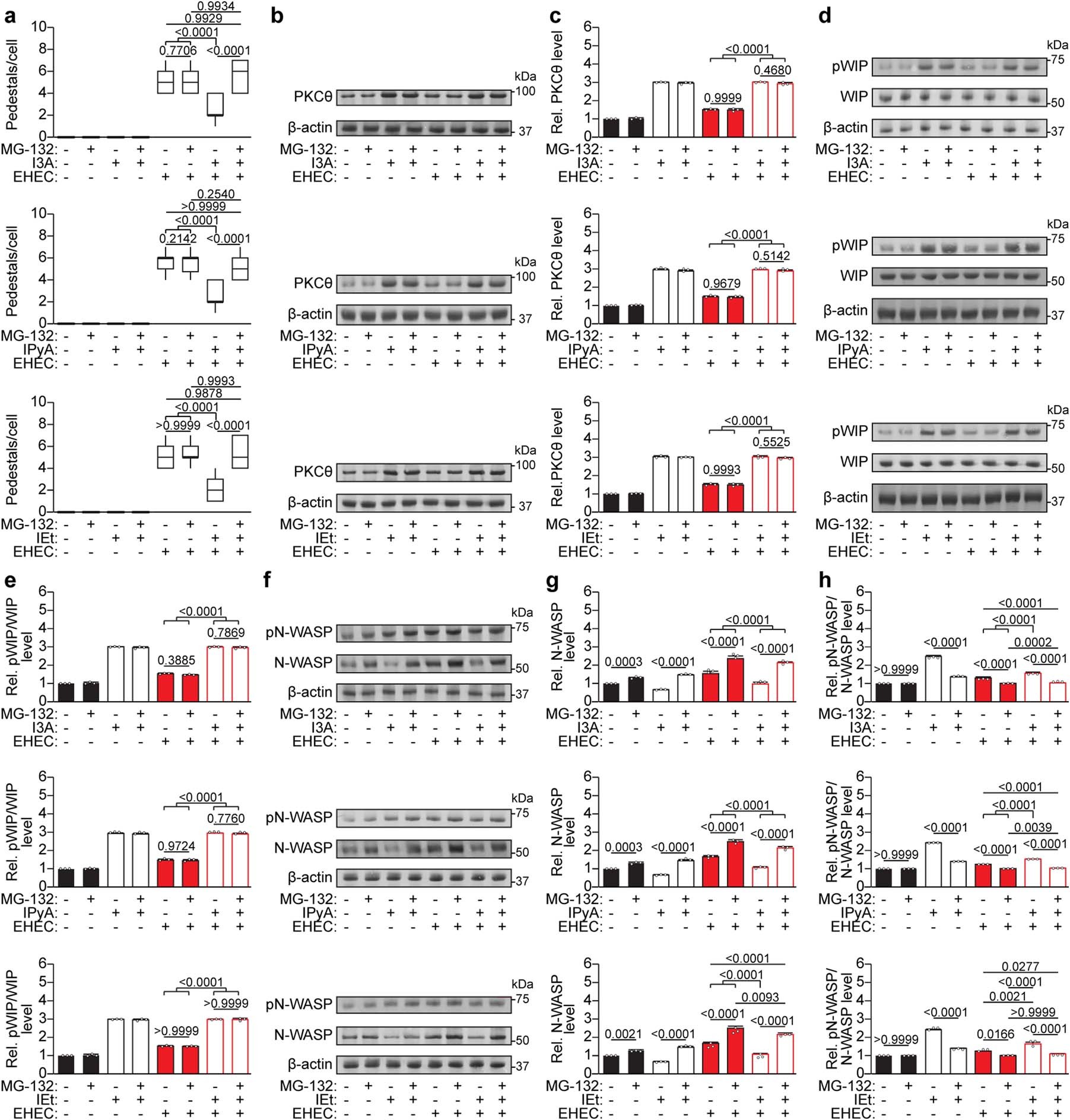 Extended Data Fig. 12