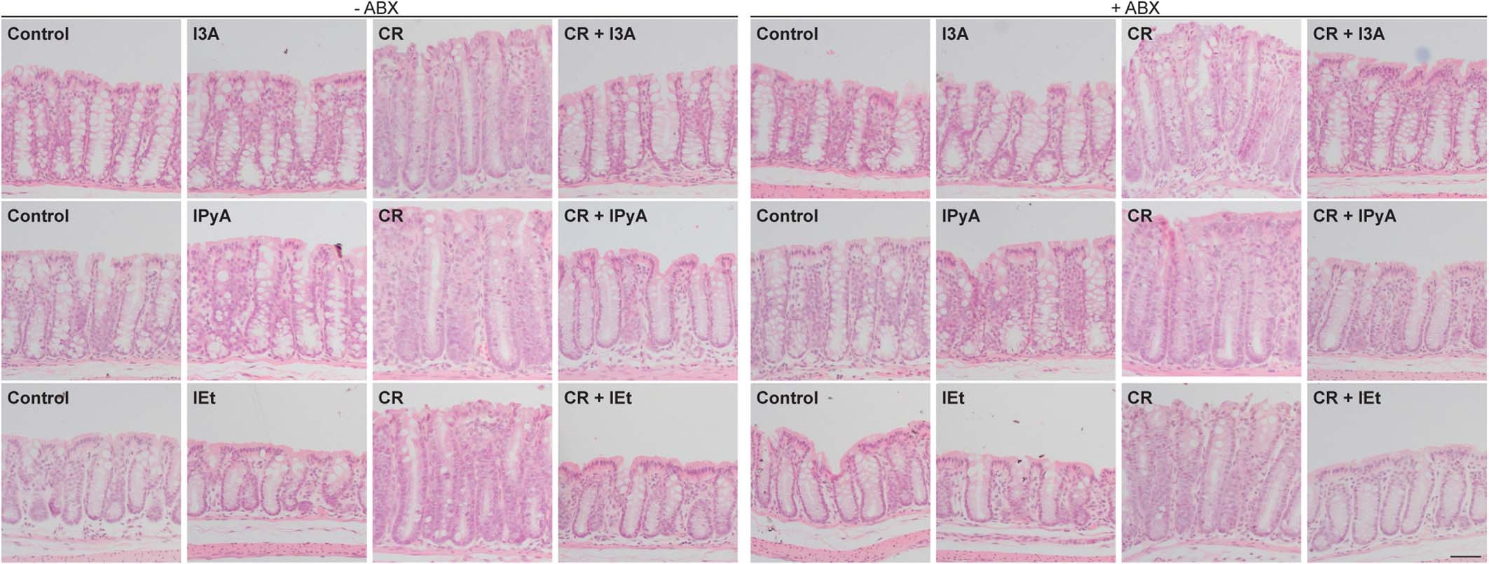 Extended Data Fig. 1