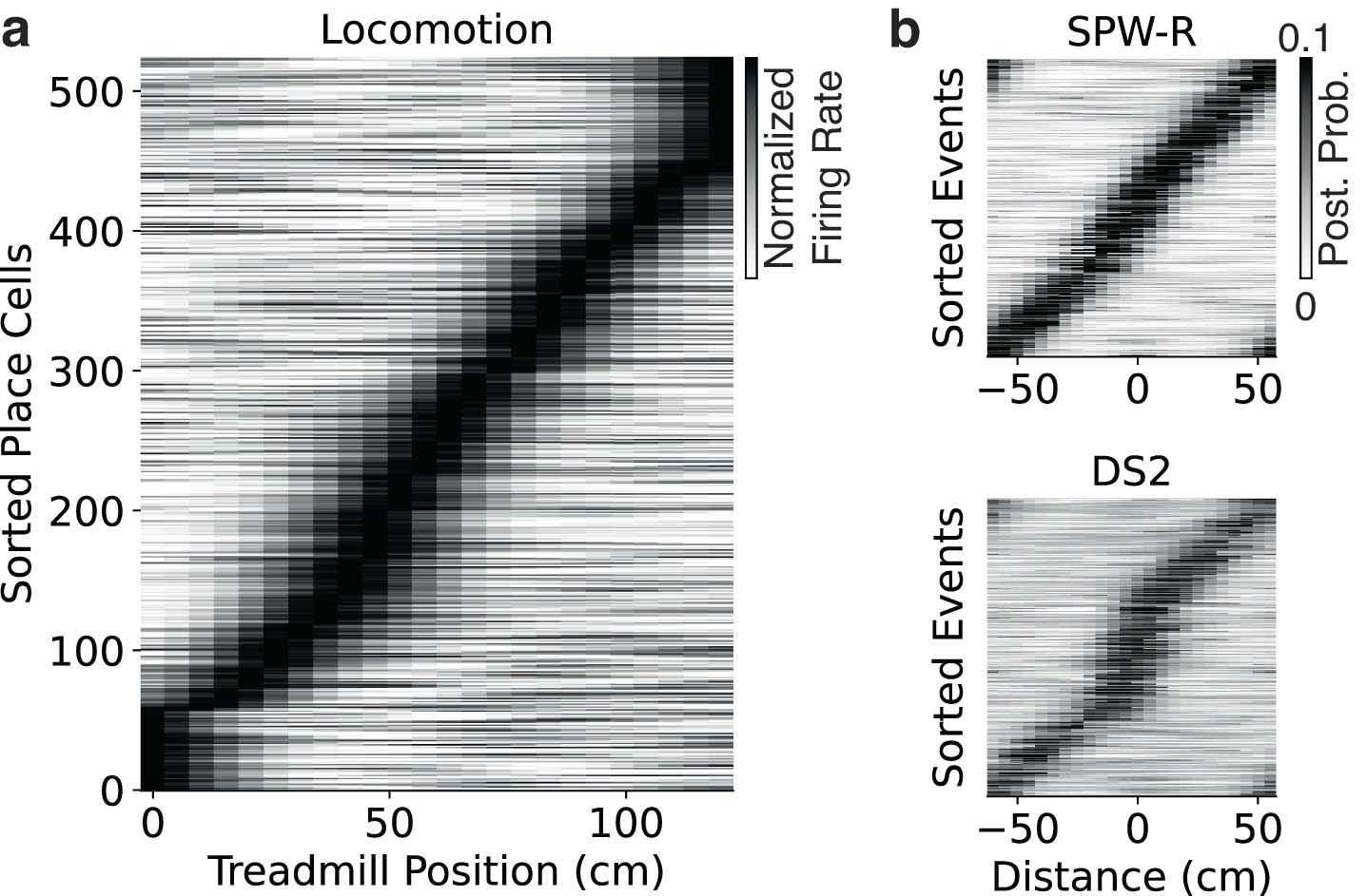 Extended Data Fig. 12: Place cell tuning during locomotion, SPW-R, and DS2.