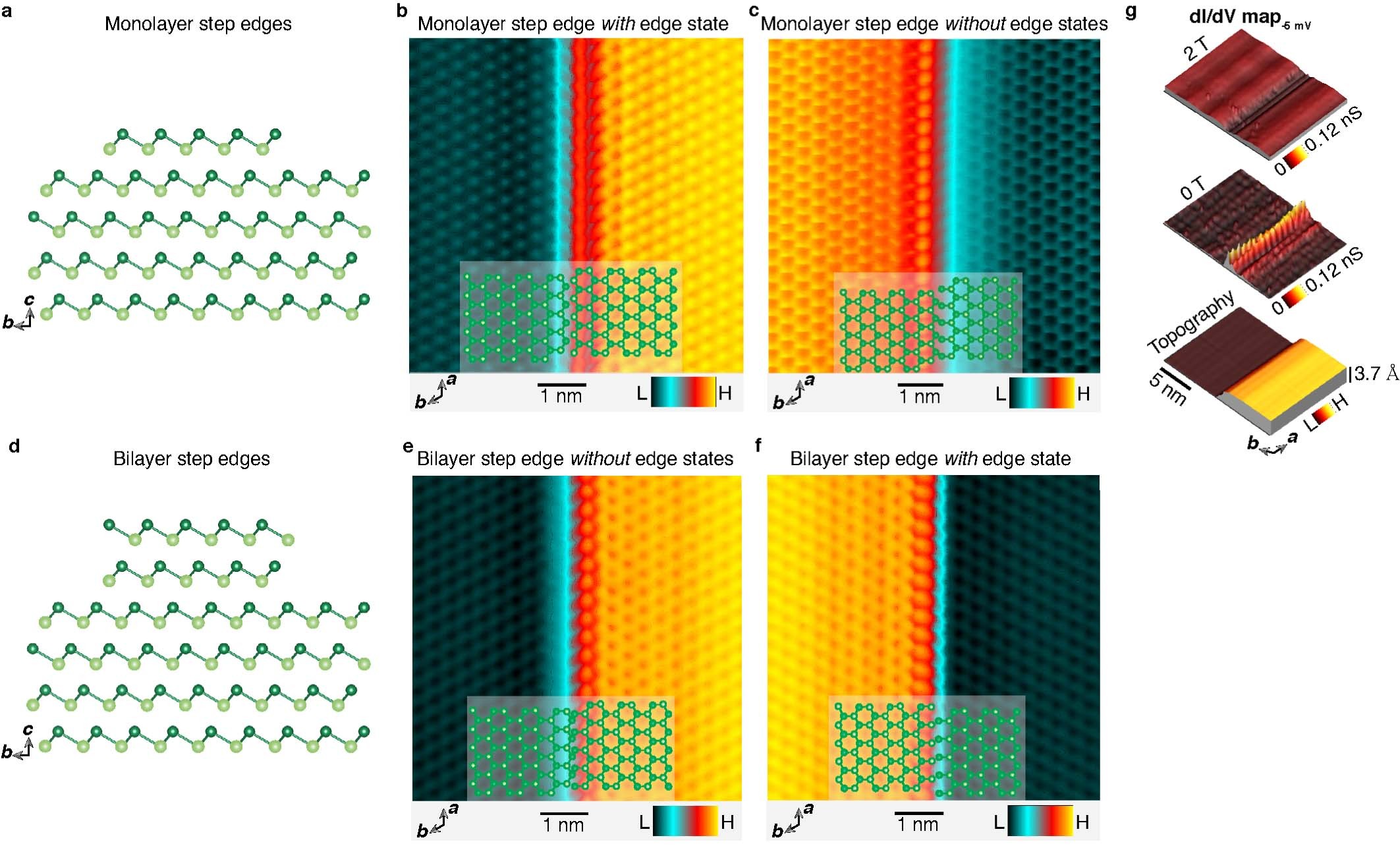Extended Data Fig. 10: Atomic structure for two different geometric orientations of the mono and bilayer step edges, highlighting the asymmetry between them.