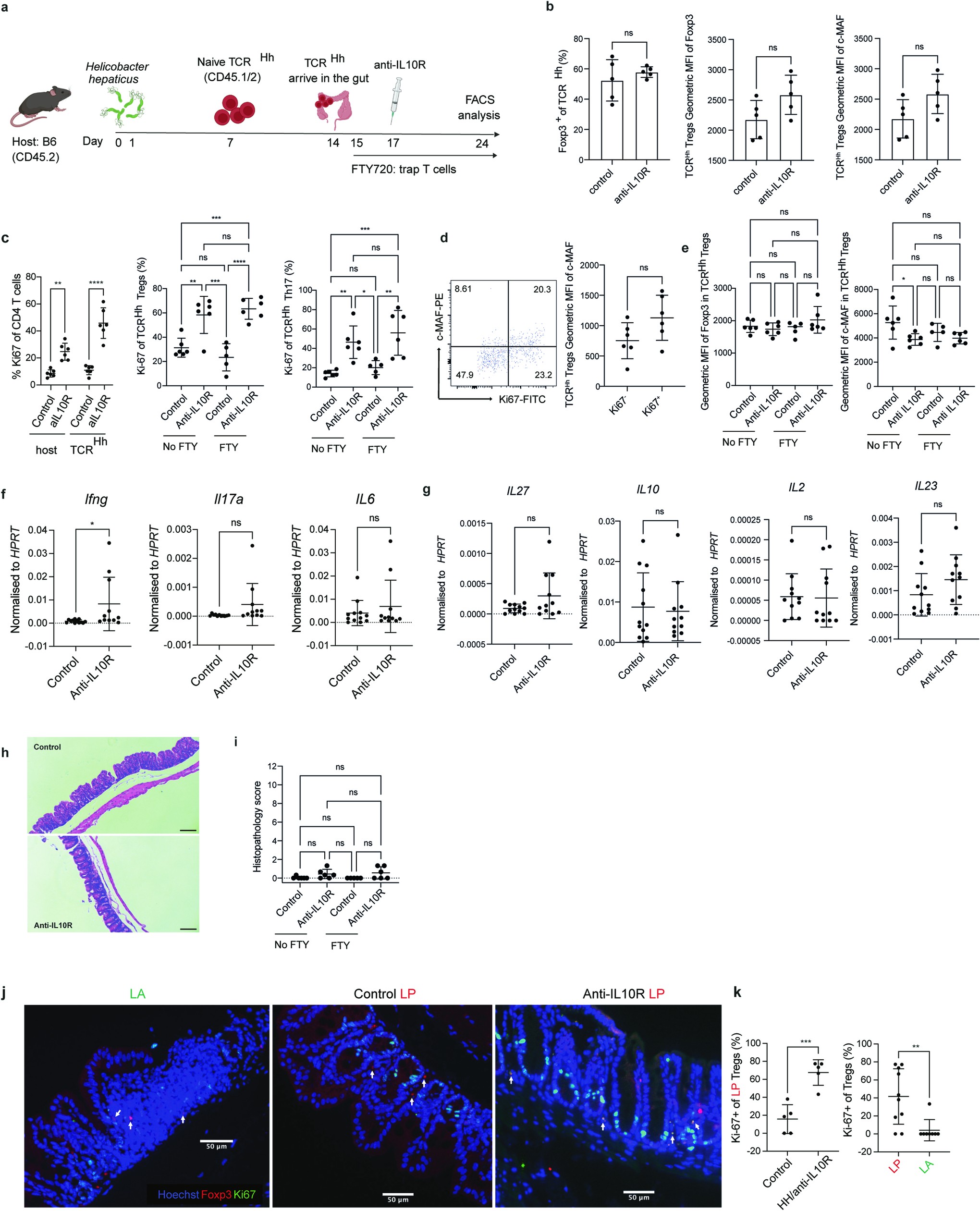 Extended Data Fig. 7: Treatment with FTY720 does not affect the phenotype and proliferation of TCRHh blocked with anti-IL-10R.