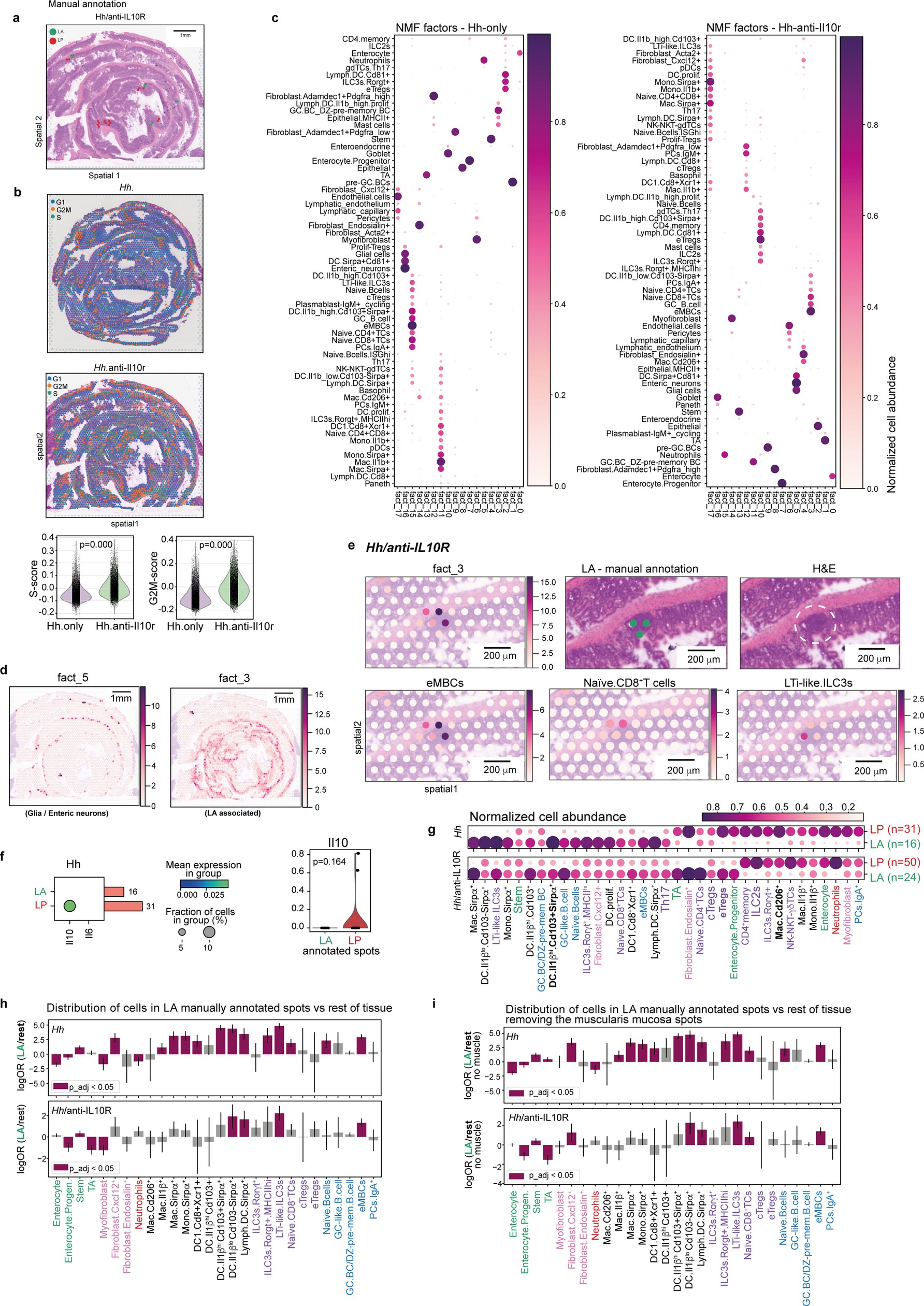 Extended Data Fig. 8: Validation of micro-niches by ST analysis and NICHE-seq.