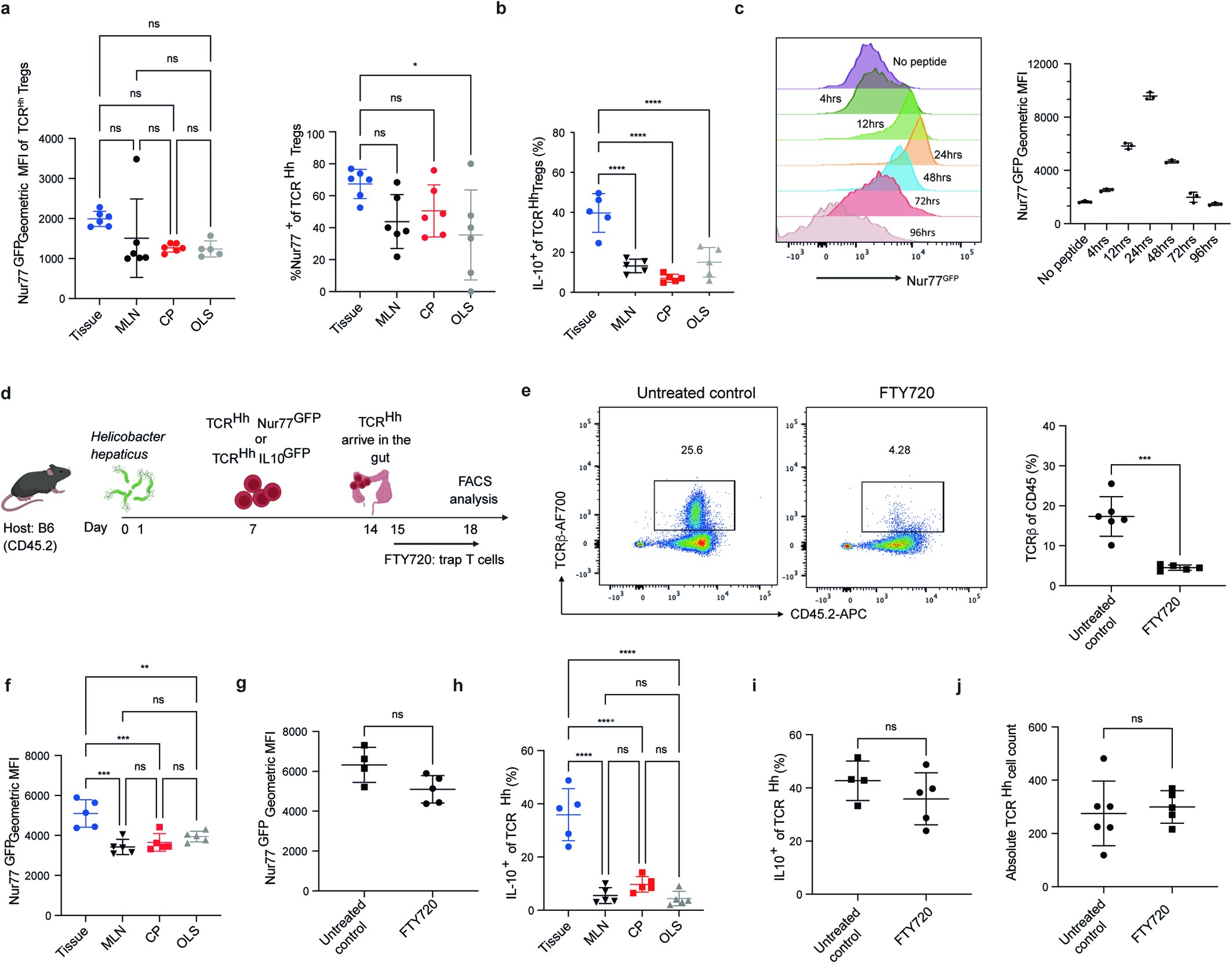 Extended Data Fig. 3: FTY720 treatment supports tissue as a dominant site of TCR signalling and IL-10 production.