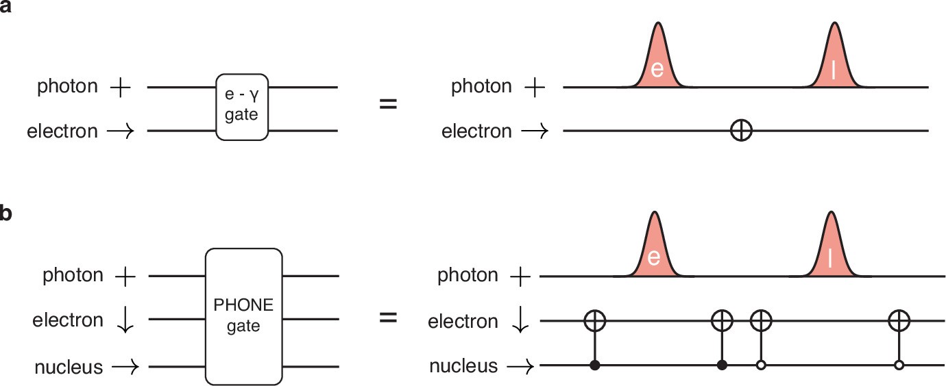 Extended Data Fig. 1