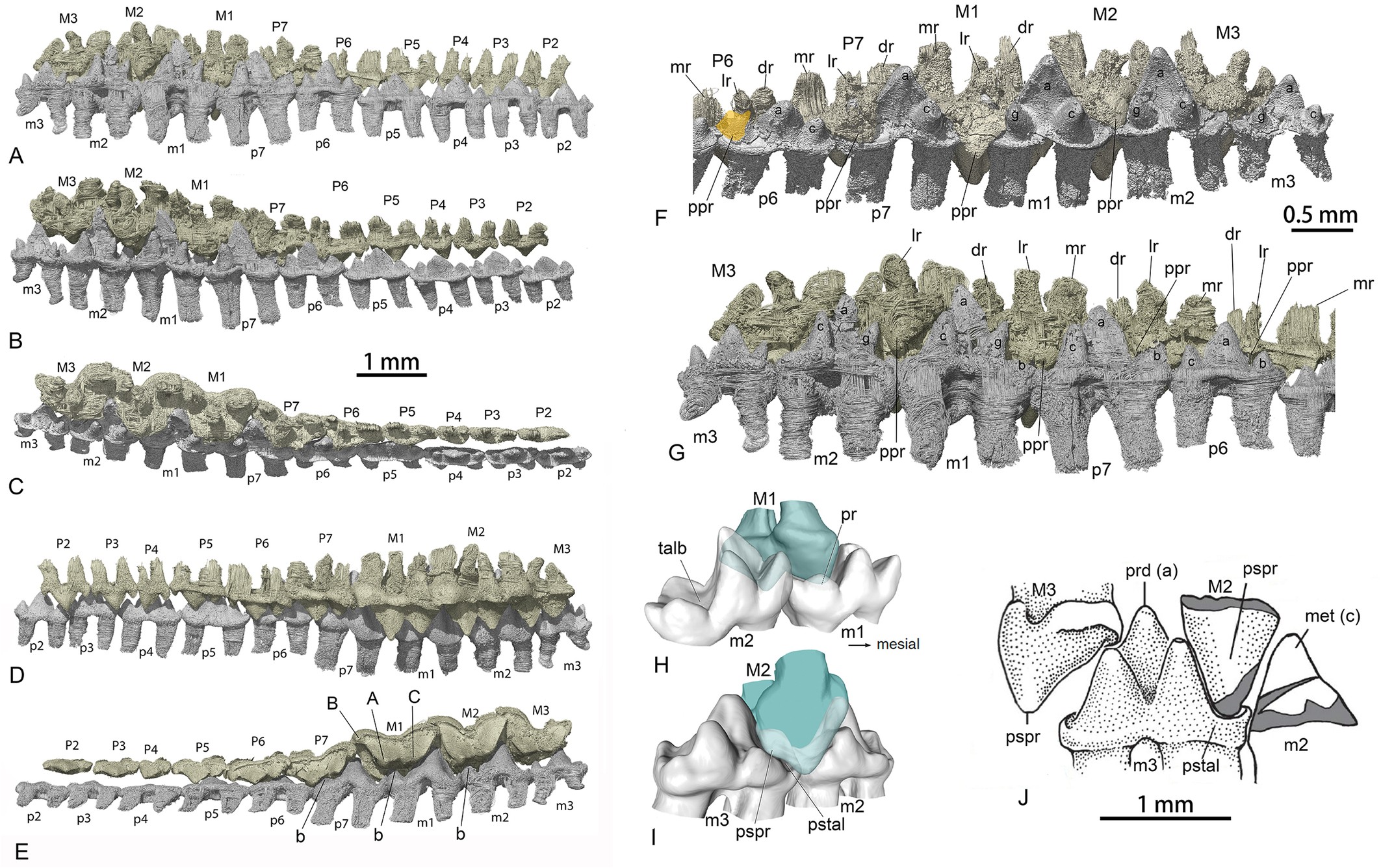 Extended Data Fig. 6
