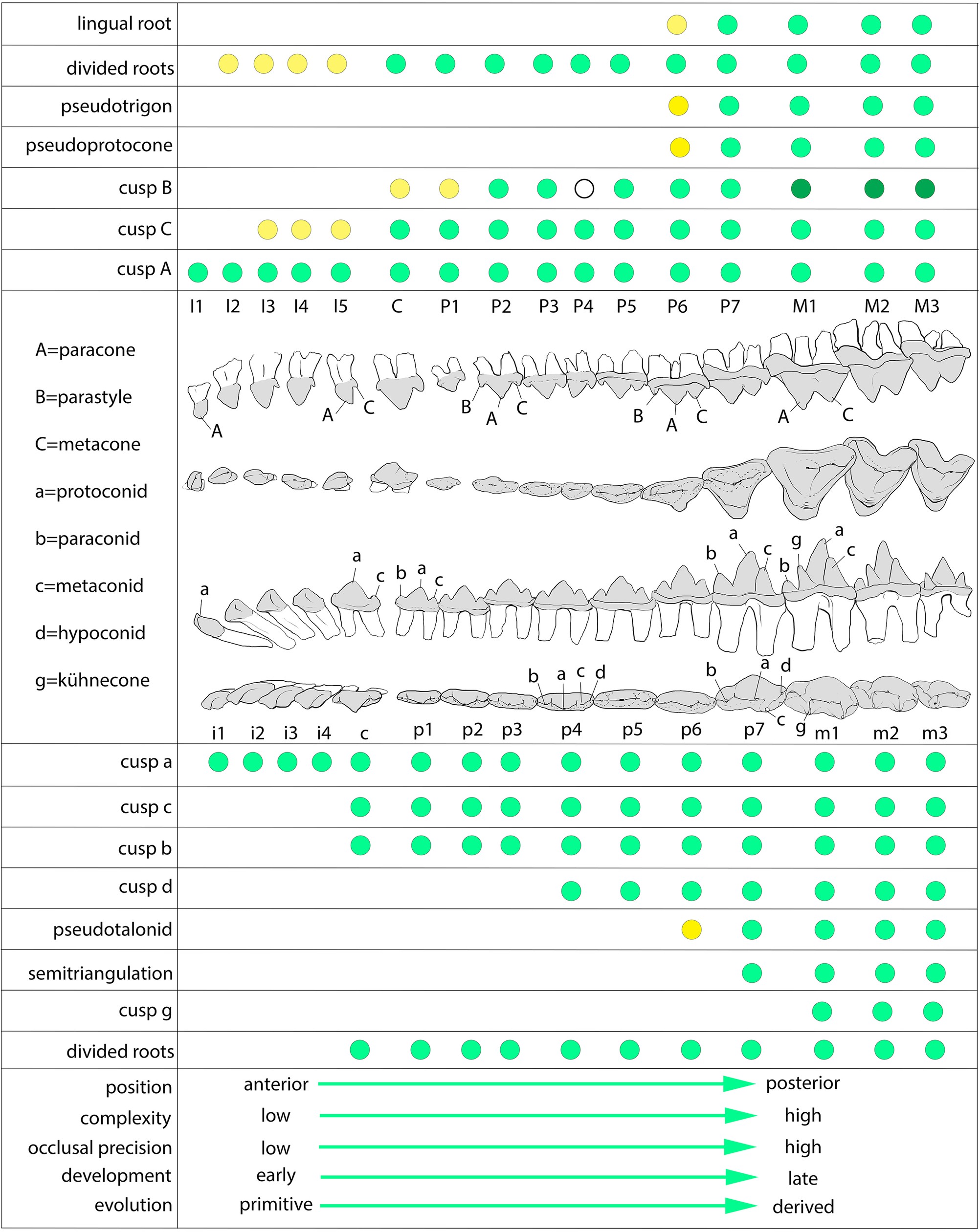 Extended Data Fig. 8