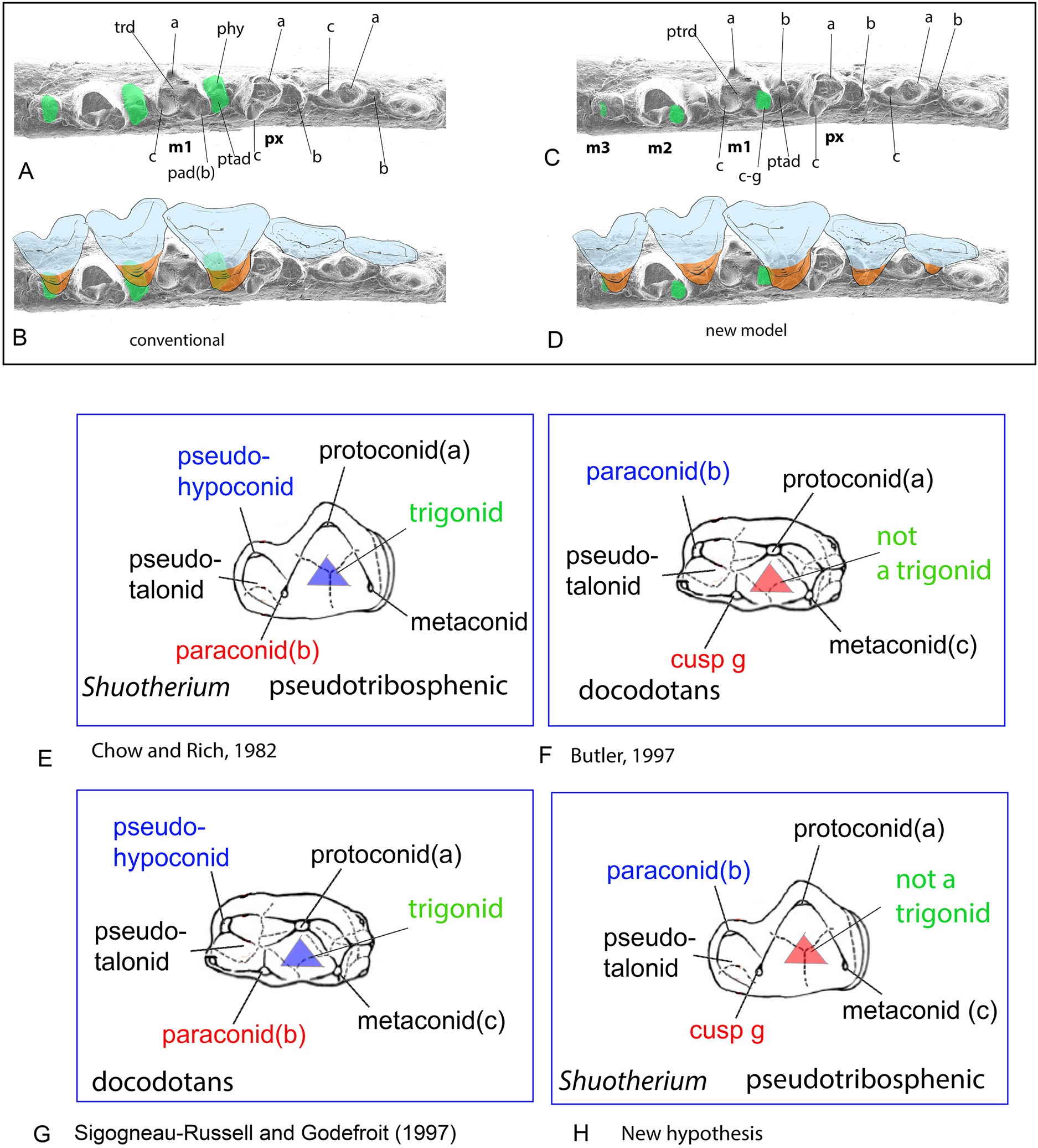 Extended Data Fig. 9