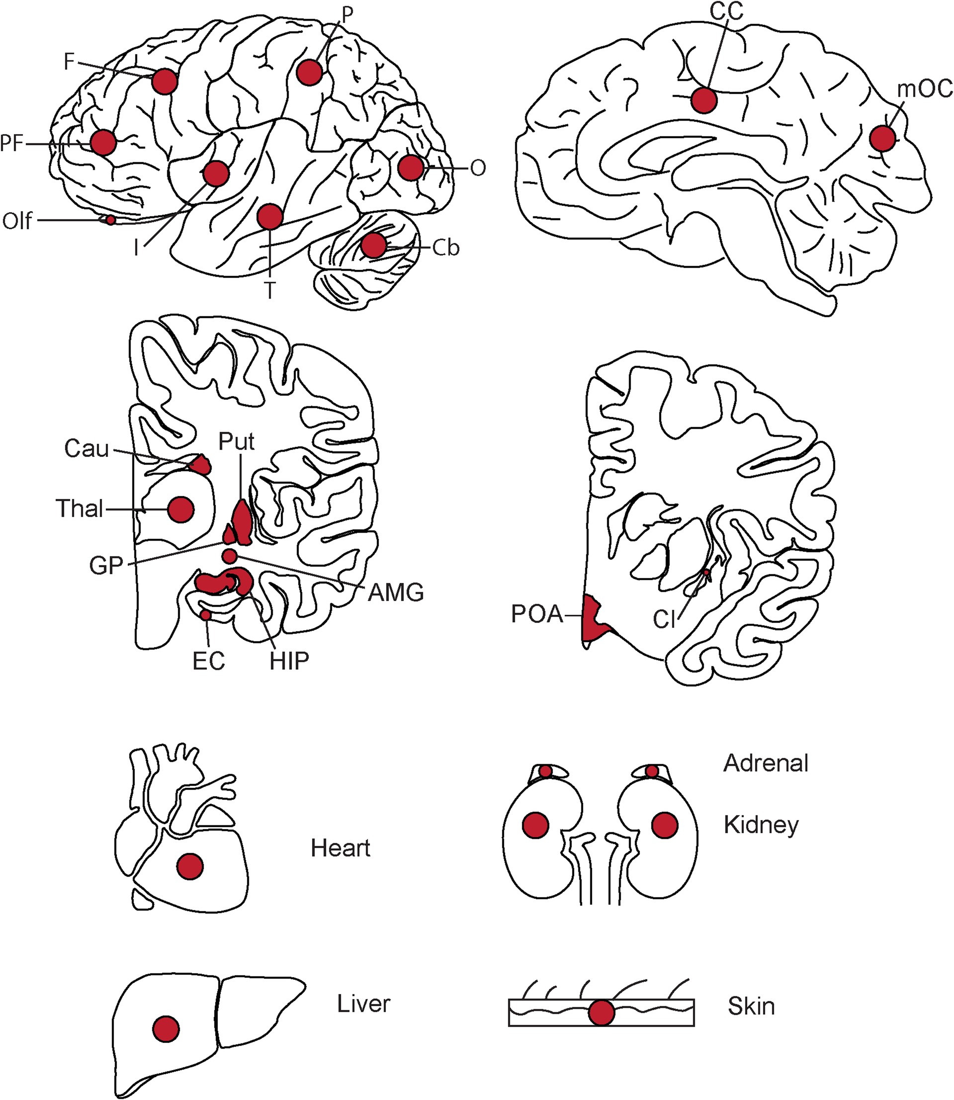 Extended Data Fig. 1