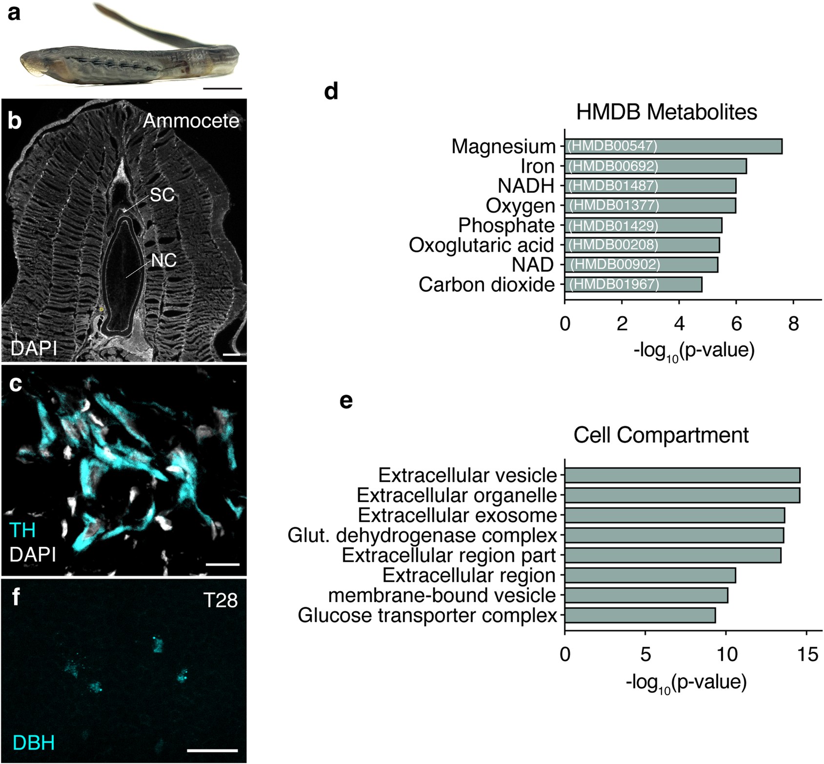 Extended Data Fig. 7