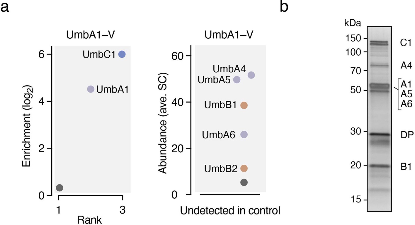Extended Data Fig. 5