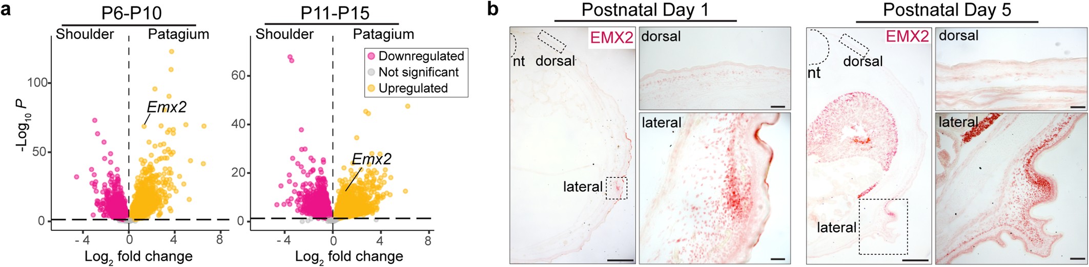 Extended Data Fig. 5