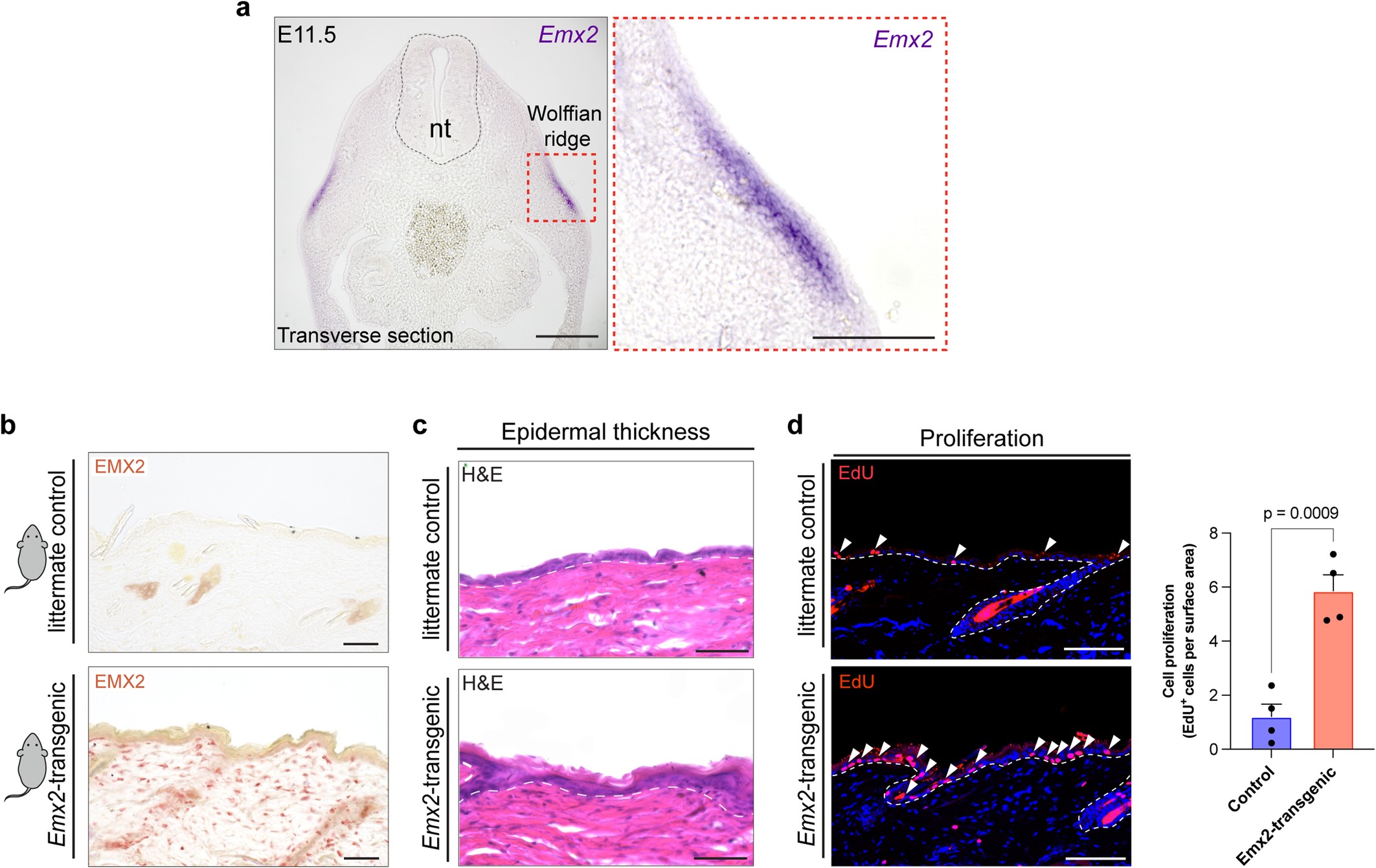 Extended Data Fig. 7