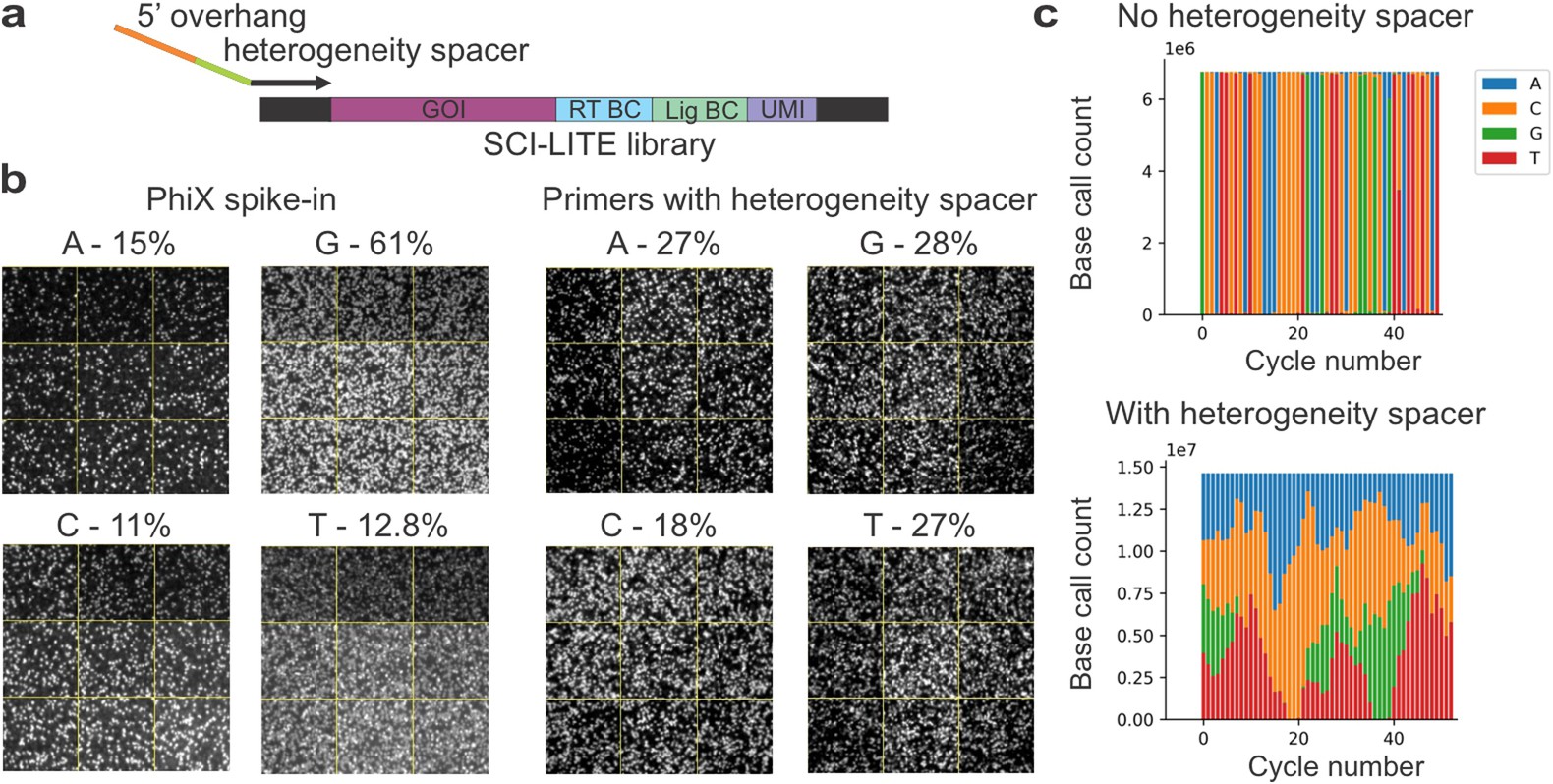Extended Data Fig. 1: Heterogeneity primers increase nucleotide diversity during sequencing of SCI-LITE libraries.