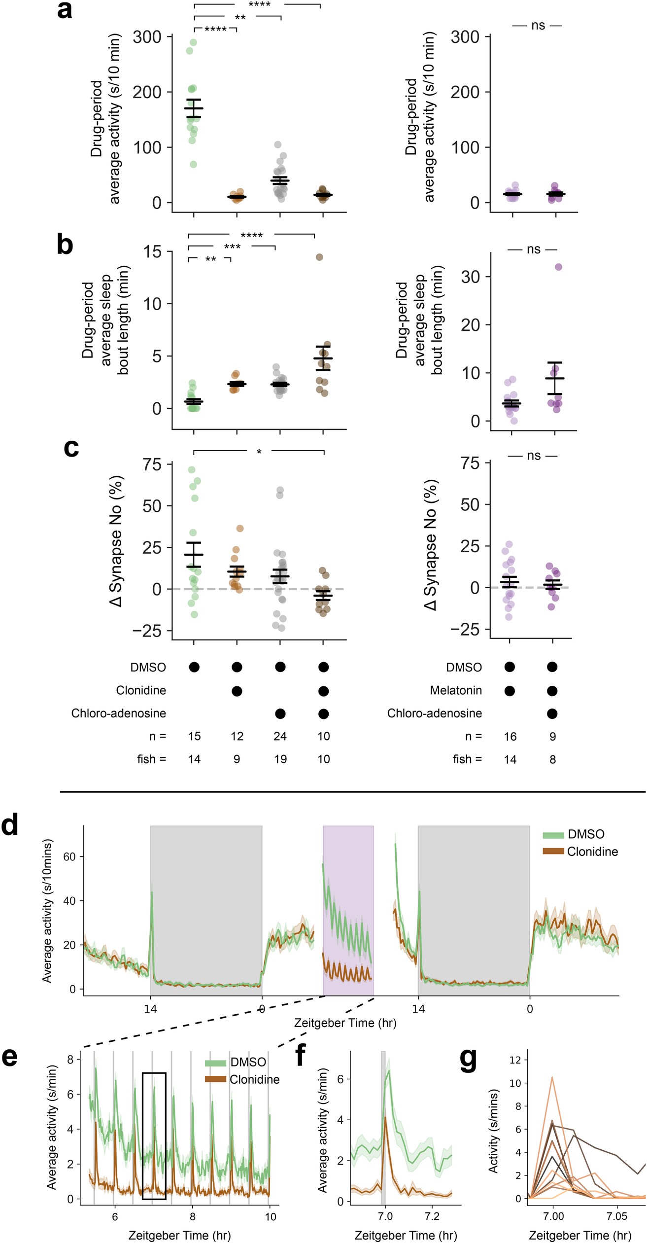 Extended Data Fig. 10: Drug-evoked day time sleep induces synapse loss only when clonidine and 2-chloroadenosine are co-administered.