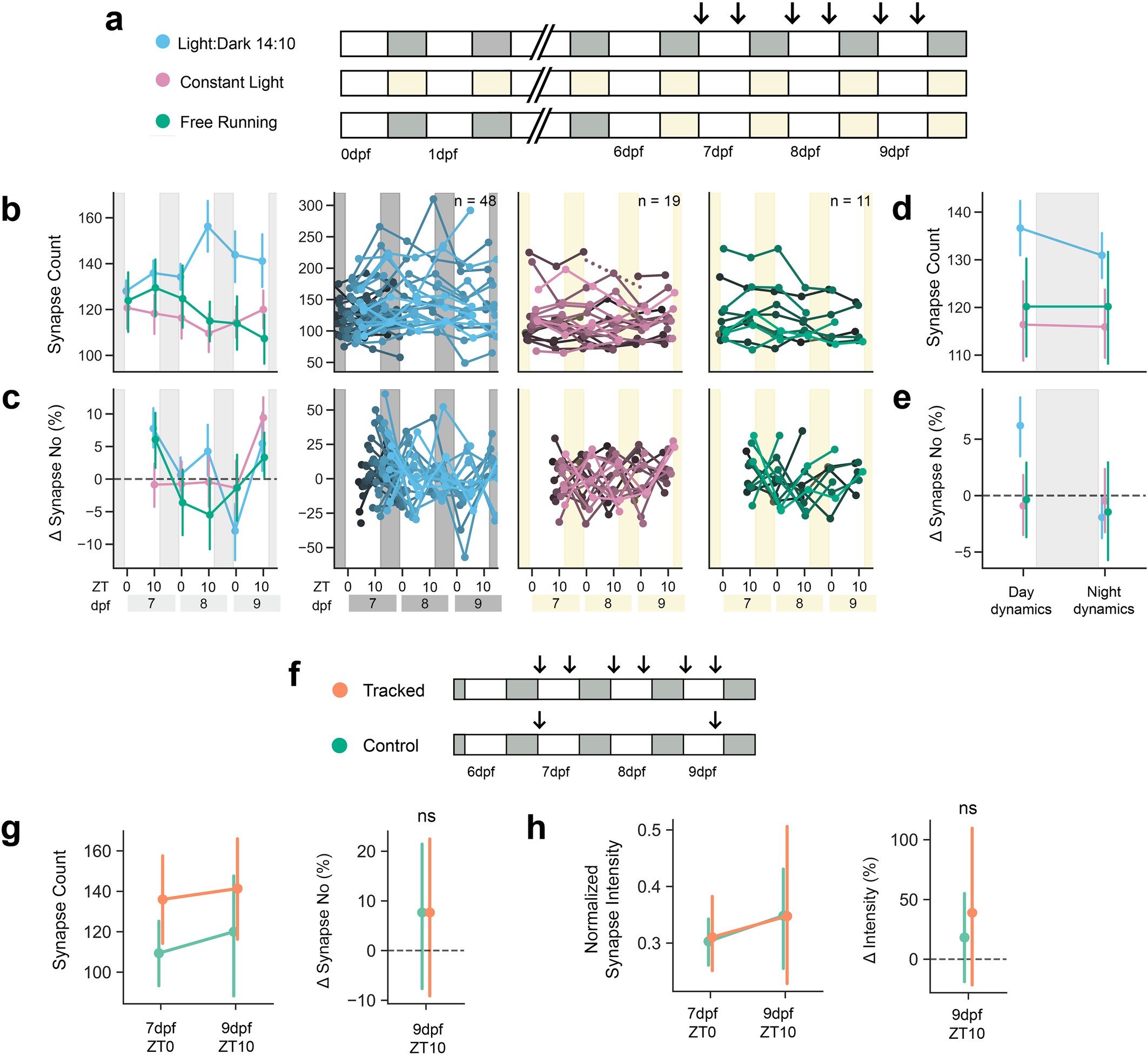 Extended Data Fig. 4: Extended tracking of single neurons over multiple days.