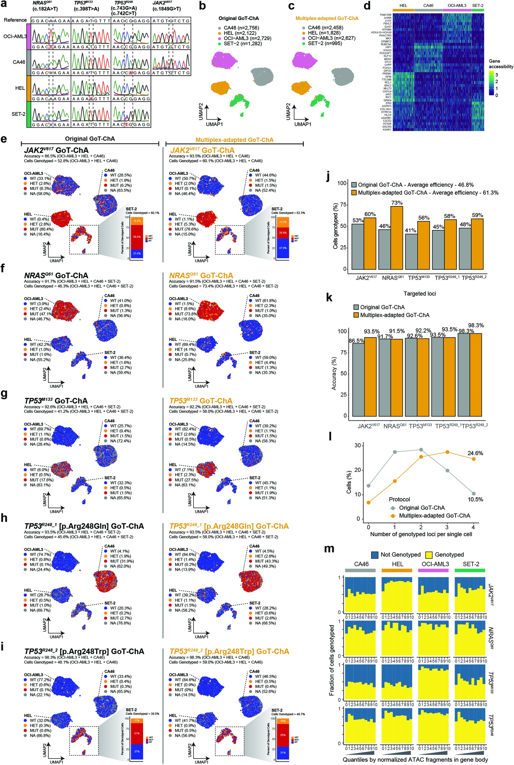Extended Data Fig. 3: Multiplexed GoT-ChA protocol for simultaneous capture of multiple targeted loci.