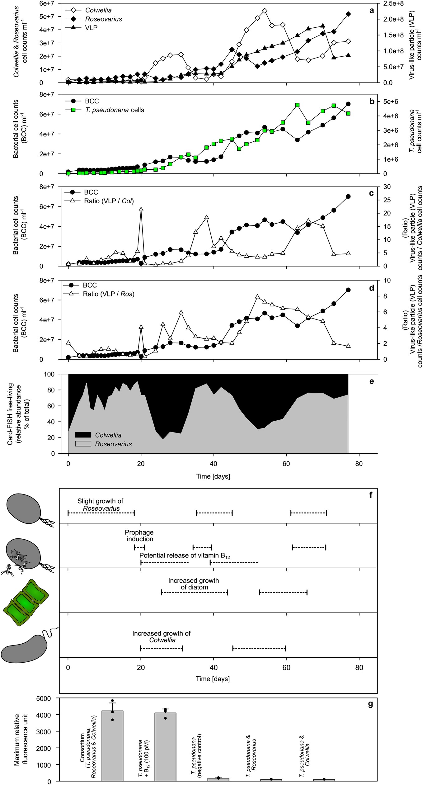 Extended Data Fig. 4