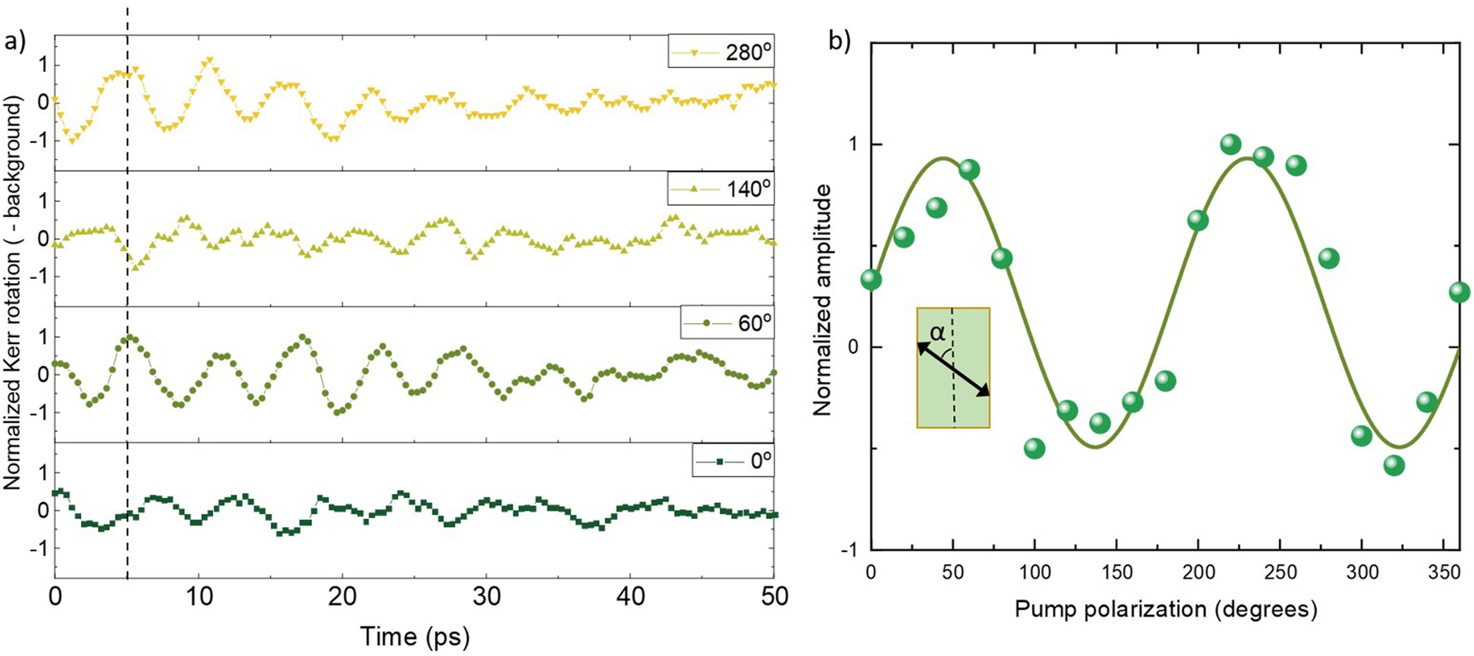 Extended Data Fig. 4: Investigation of the excitation mechanism from the pump polarization dependence.