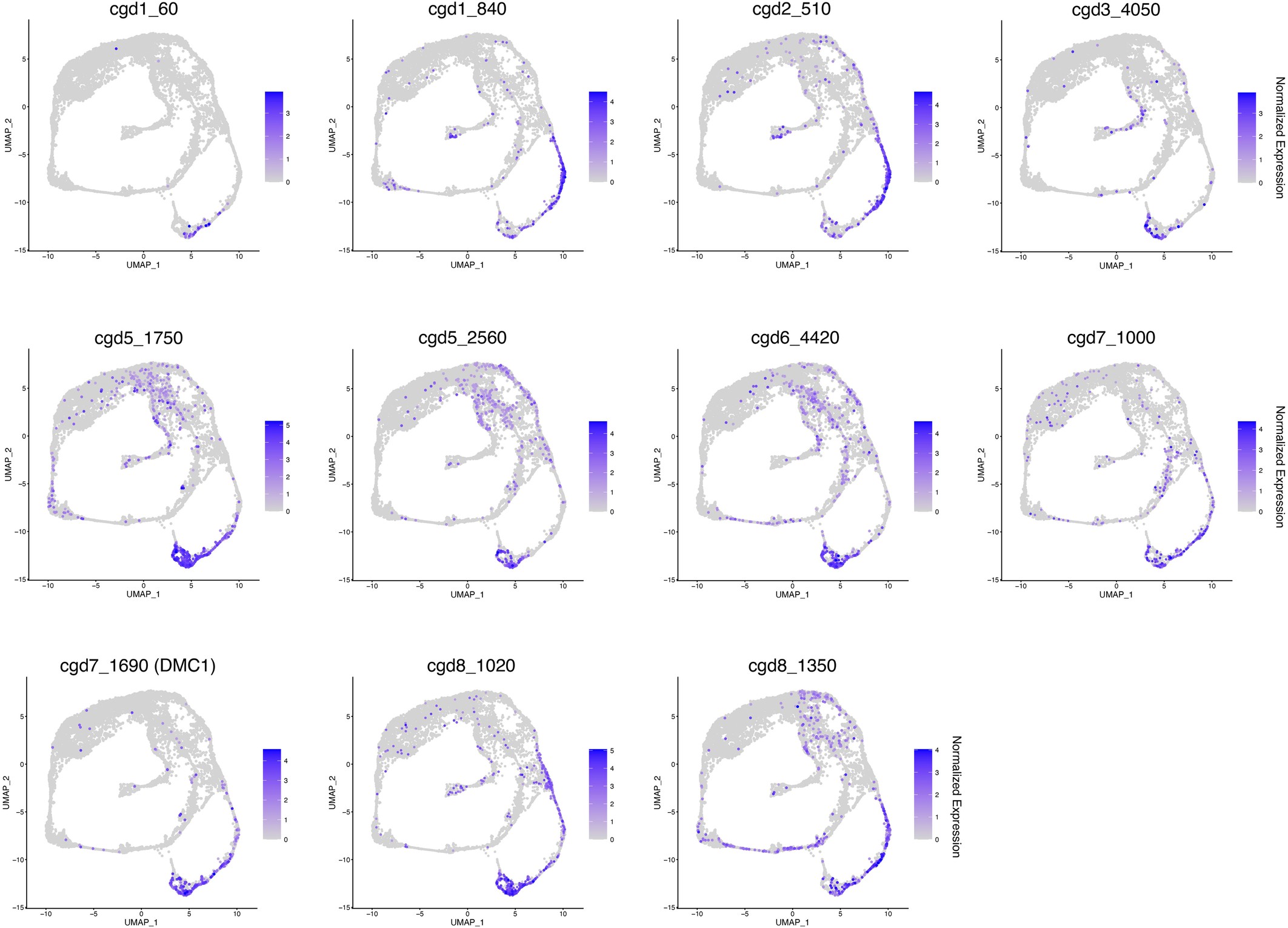 Extended Data Fig. 6: Identification of meiosis-specific genes.