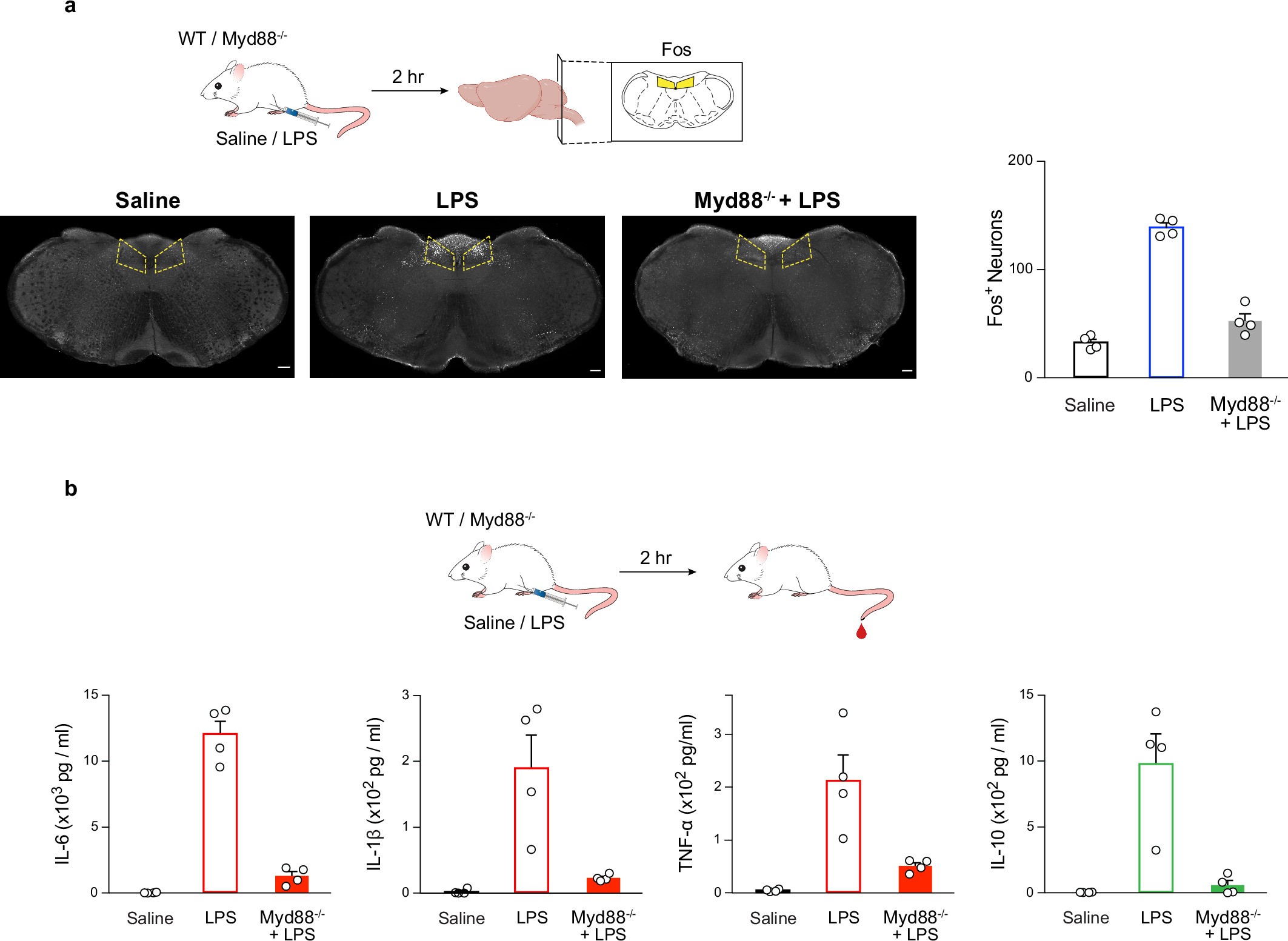 Extended Data Fig. 2