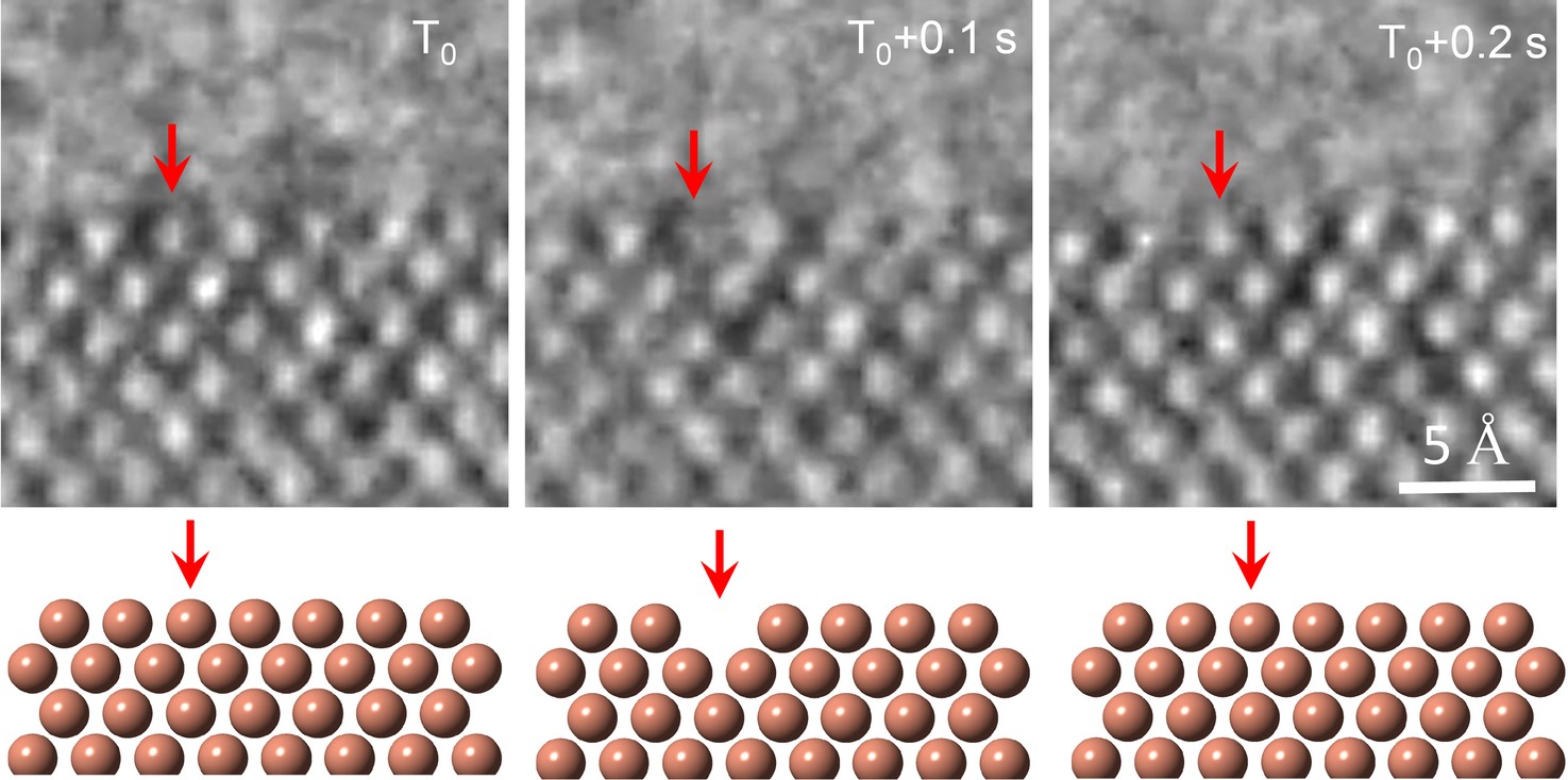 Extended Data Fig. 3