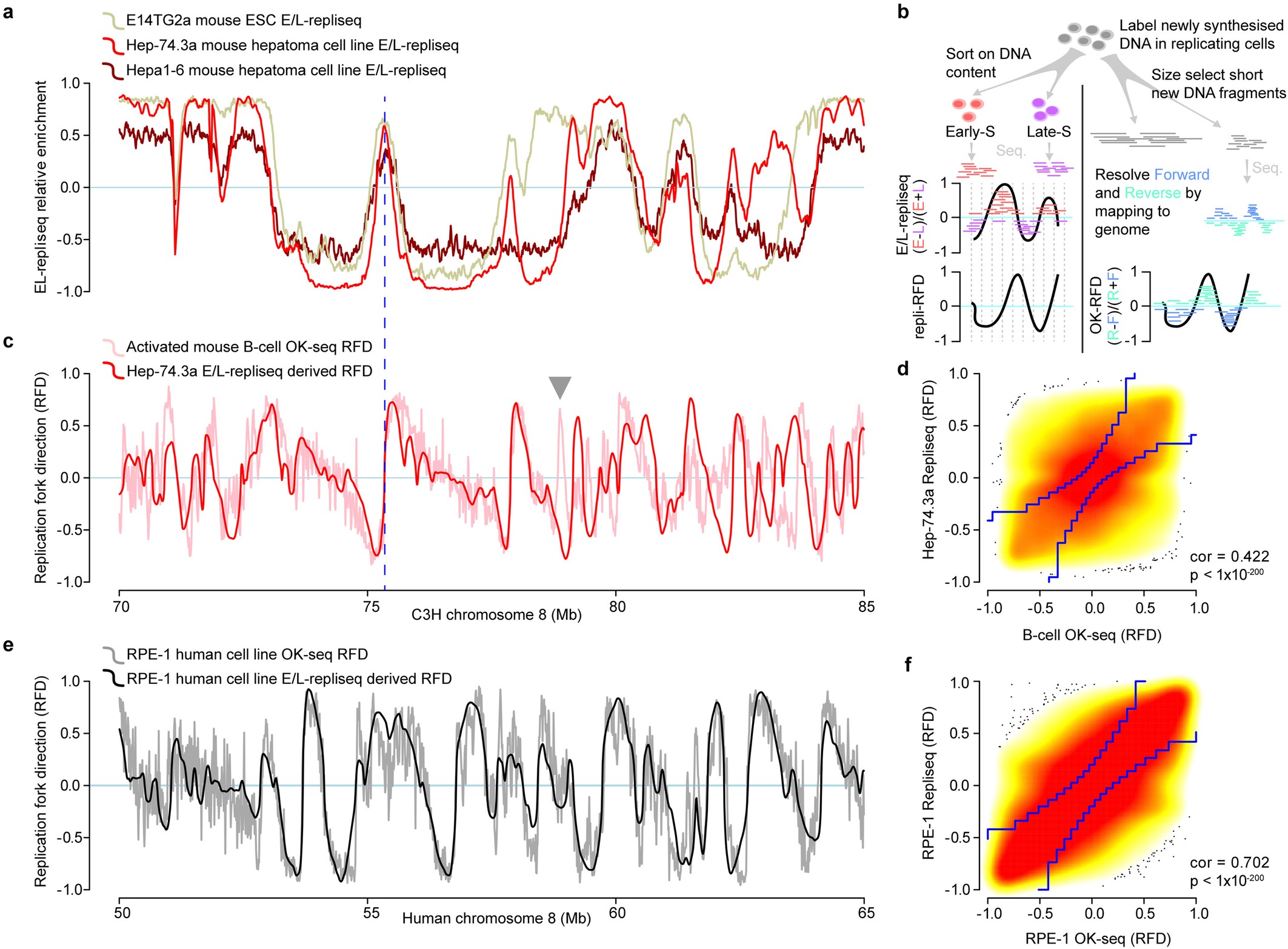 Extended Data Fig. 2: Quantifying replication fork directionality.