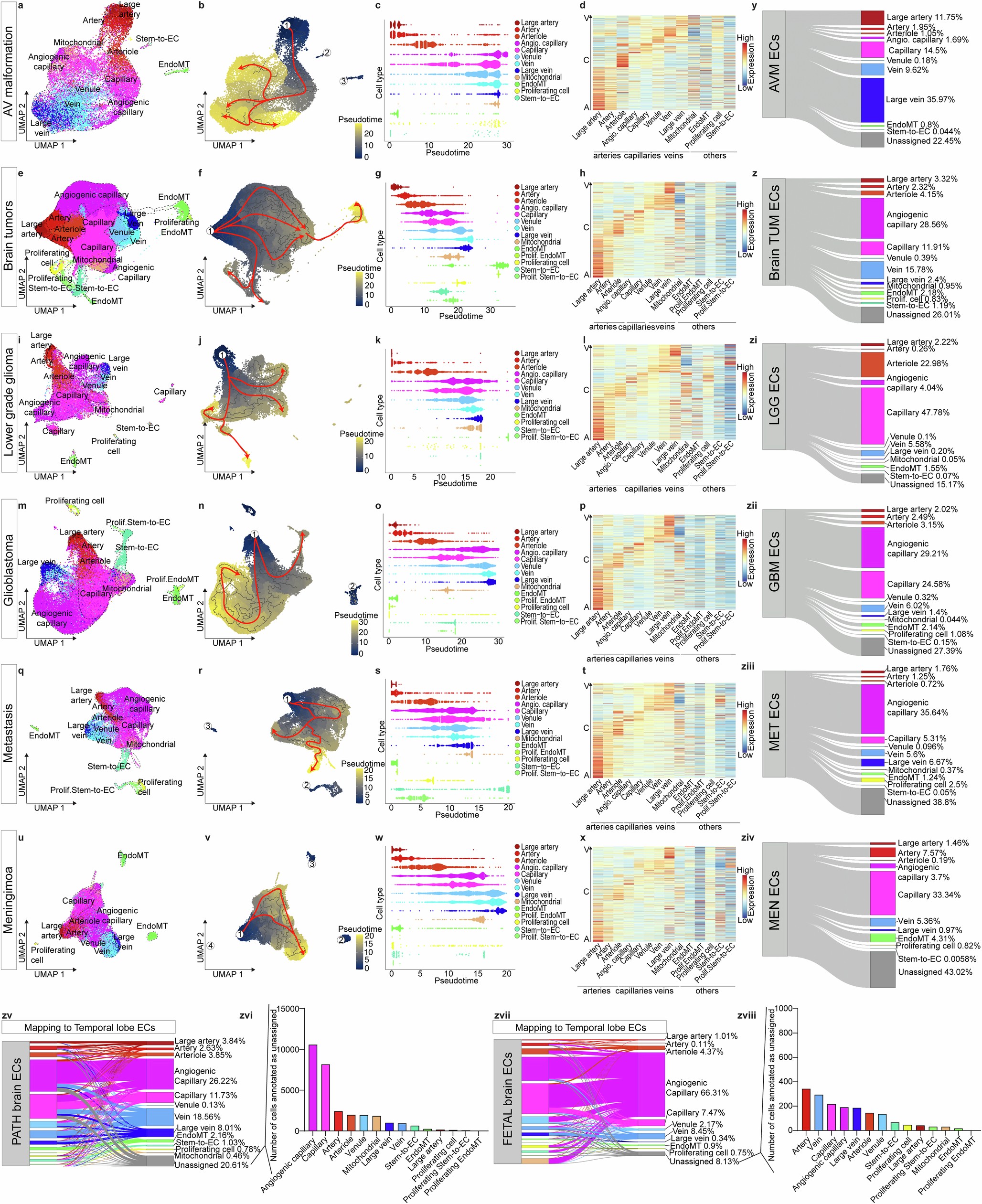 Extended Data Fig. 4: Alteration of AV-specification in pathological brain vascular ECs.