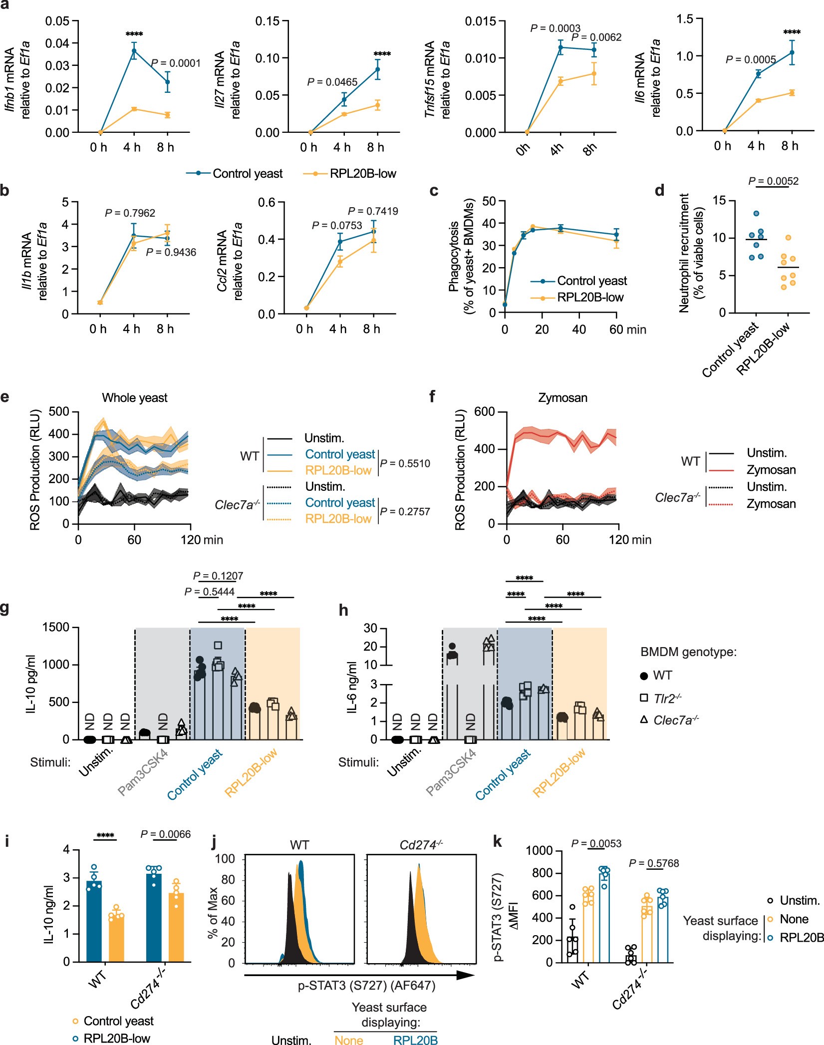 Extended Data Fig. 9: Fungal RPL20B detection by PD-L1 regulates cytokine production.