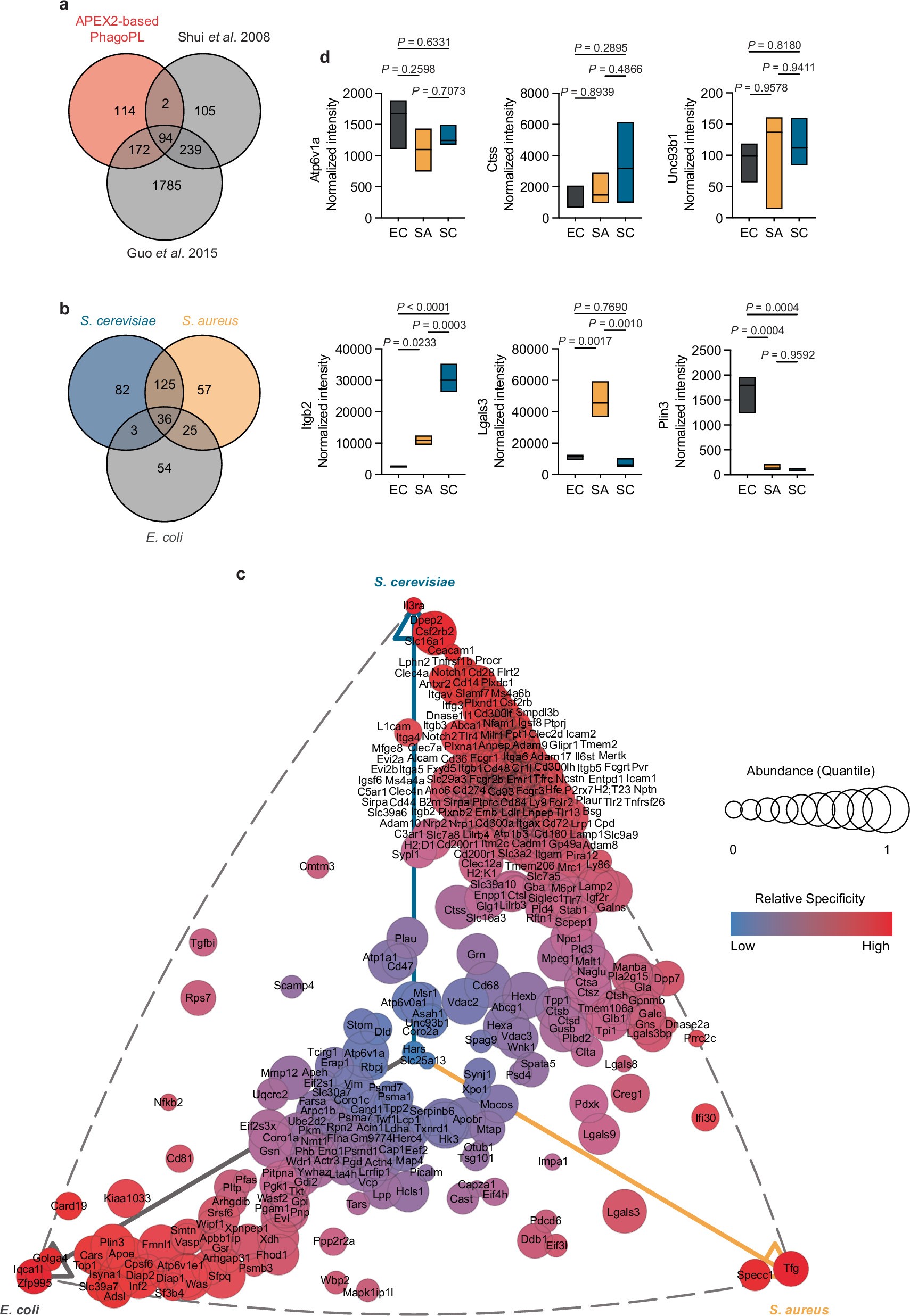 Extended Data Fig. 2: Proximity labeling reveals diversity of phagosomes containing different microbes.