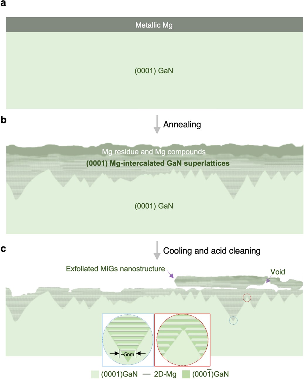 Extended Data Fig. 1: Spontaneous formation of MiGs nanostructure by thermal annealing of metallic Mg on GaN.