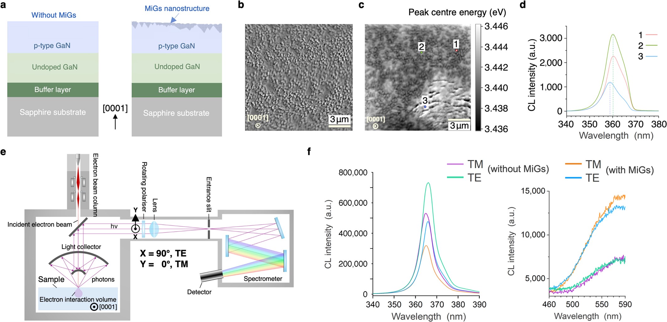 Extended Data Fig. 4: Plan-view scanning electron microscopy (SEM)-CL and cross-sectional polarization-resolved SEM-CL spectra of Mg-intercalated p-type GaN.