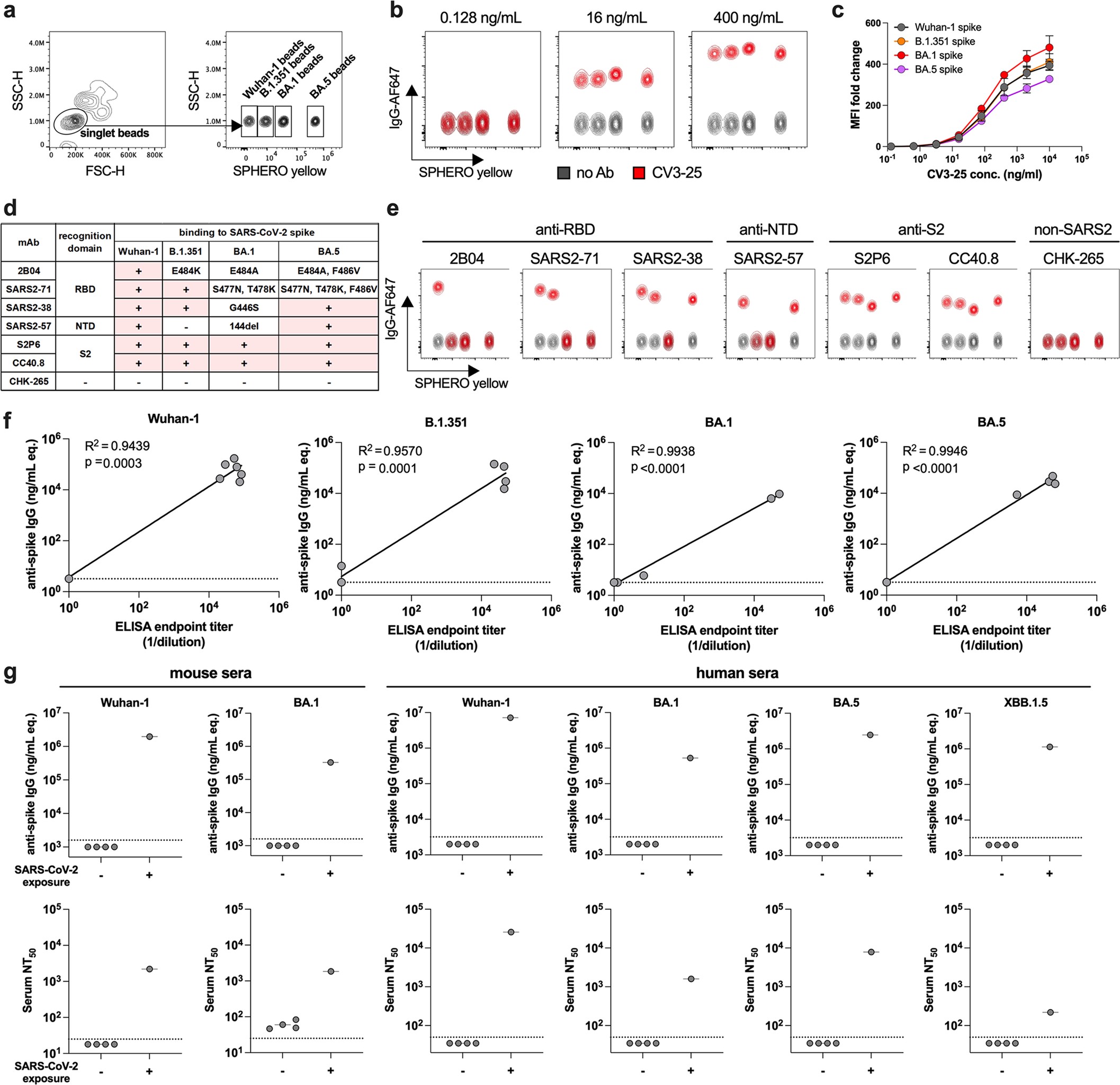 Extended Data Fig. 1: Multiplexed spike-binding detection assay.