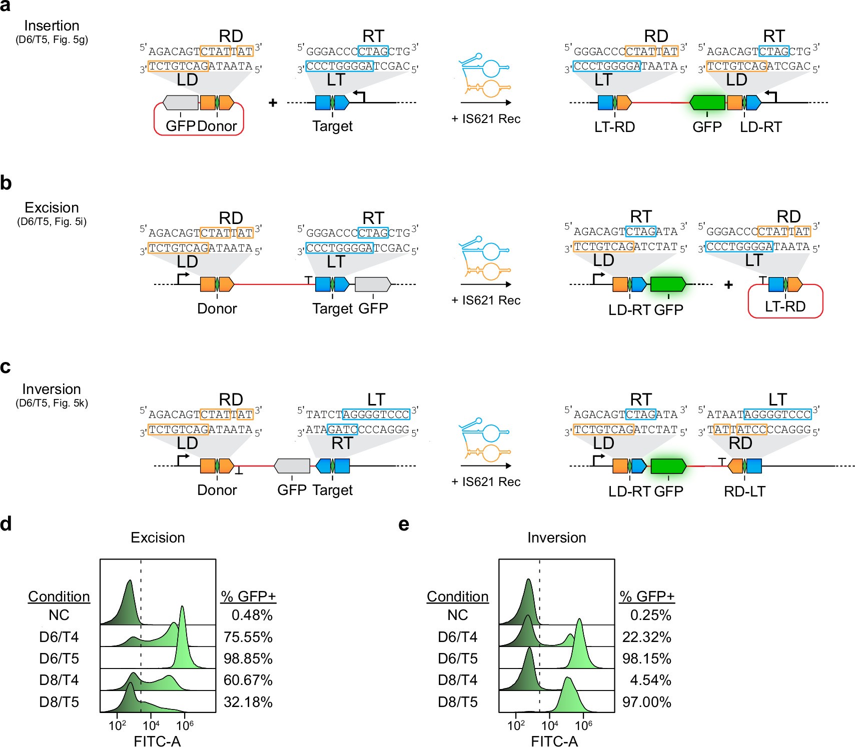 Extended Data Fig. 9: Insertion, excision and inversion using the IS621 bridge recombination system.