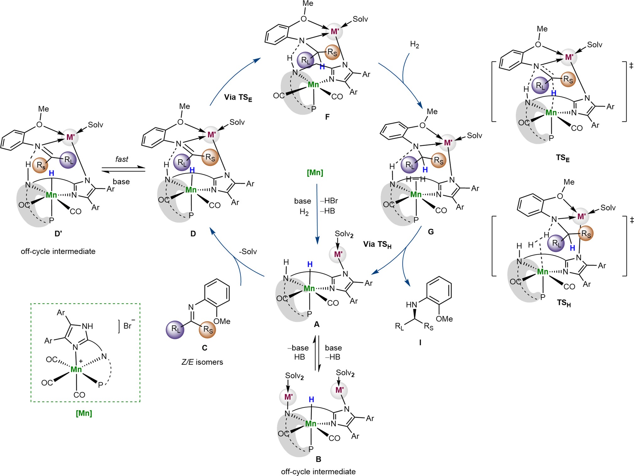 Extended Data Fig. 2