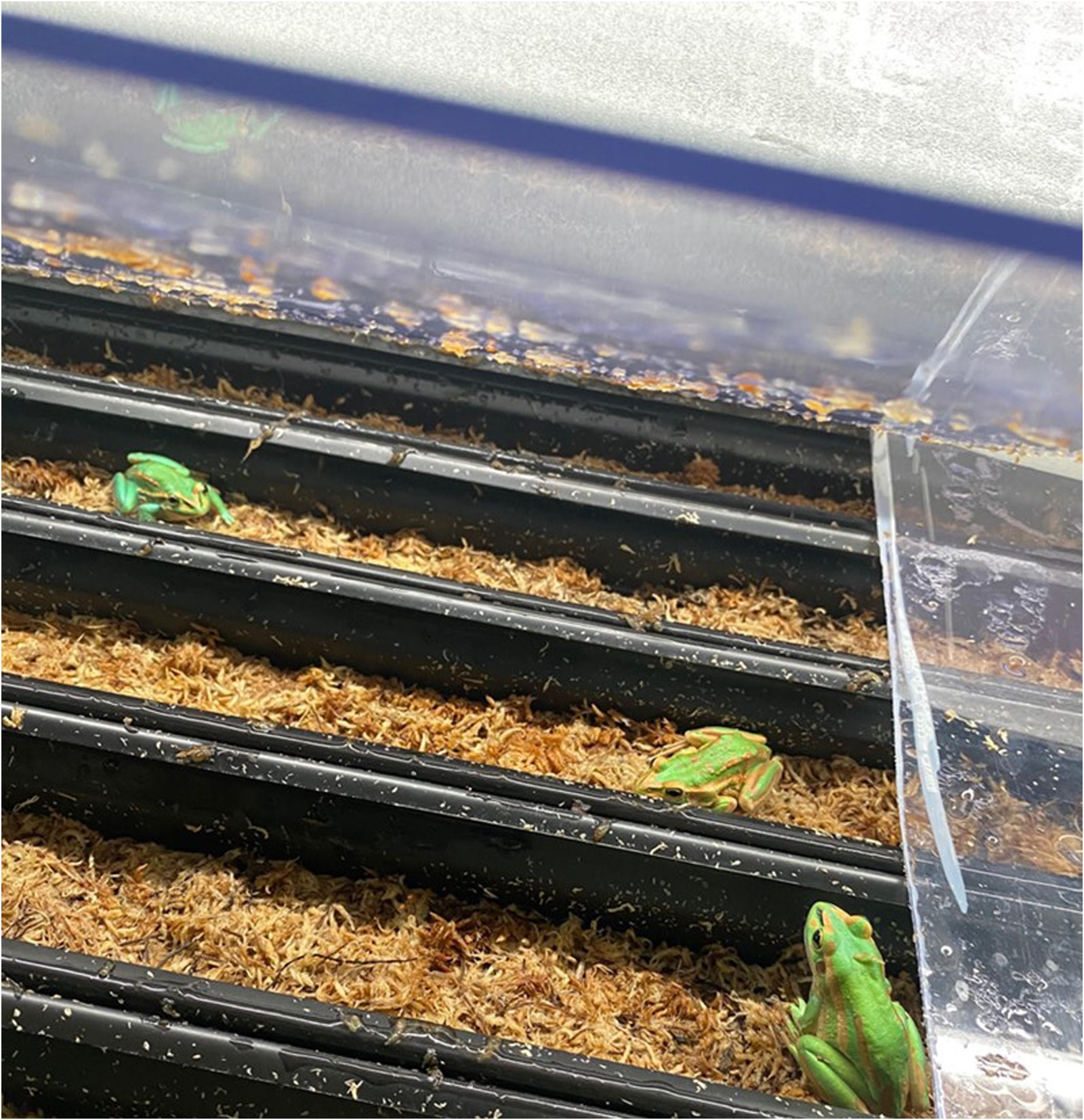 Extended Data Fig. 4