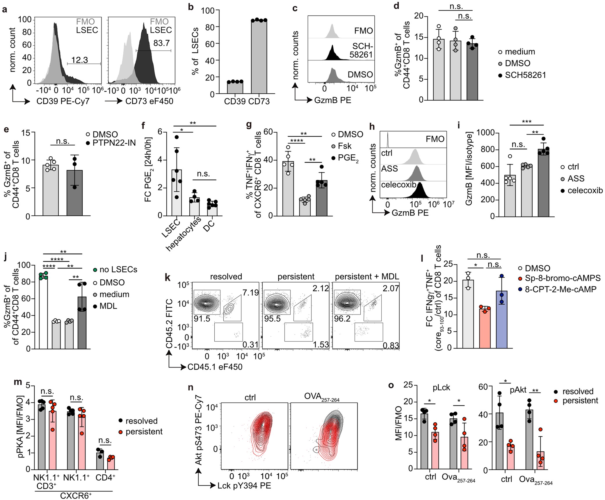 Extended Data Fig. 7: Increased adenylyl cyclase-cAMP-PKA signalling and disrupted T cell receptor signalling in CXCR6+ CD8 T cells during persistent hepatotropic infection.