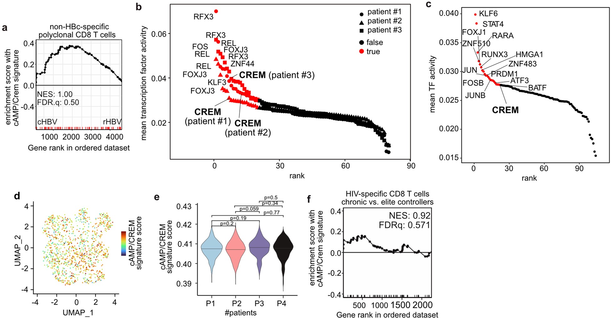 Extended Data Fig. 4: Transcriptional profiles of circulating HBV-specific CD8 T cells in patients with chronic Hepatitis B.